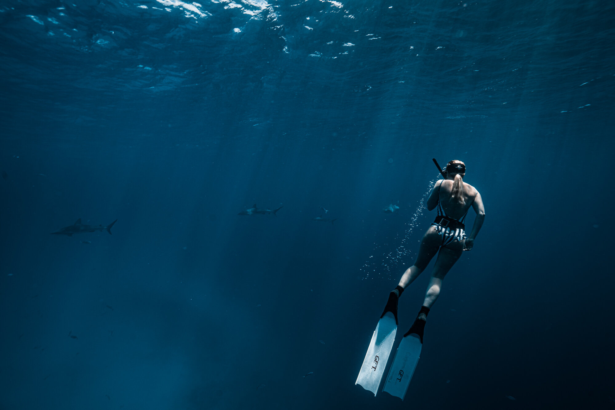 Blue shades of life, Freediving blog, Gabriella Gerbasi, Life in blue, 2000x1340 HD Desktop