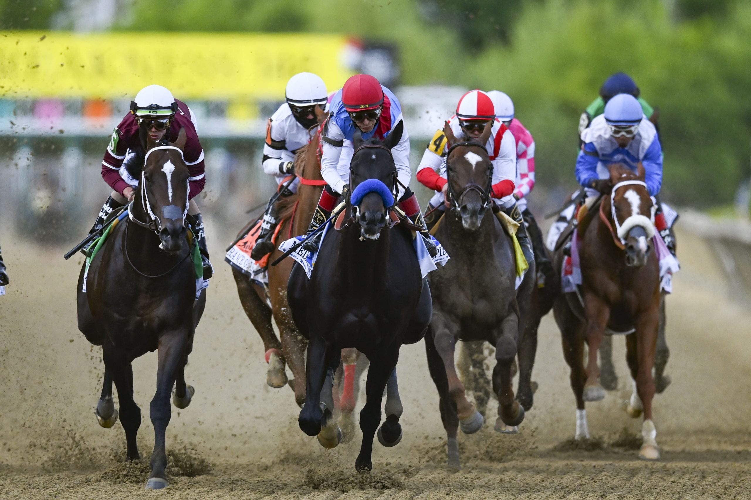 Preakness Stakes, Horse Racing Wallpaper, 2560x1710 HD Desktop