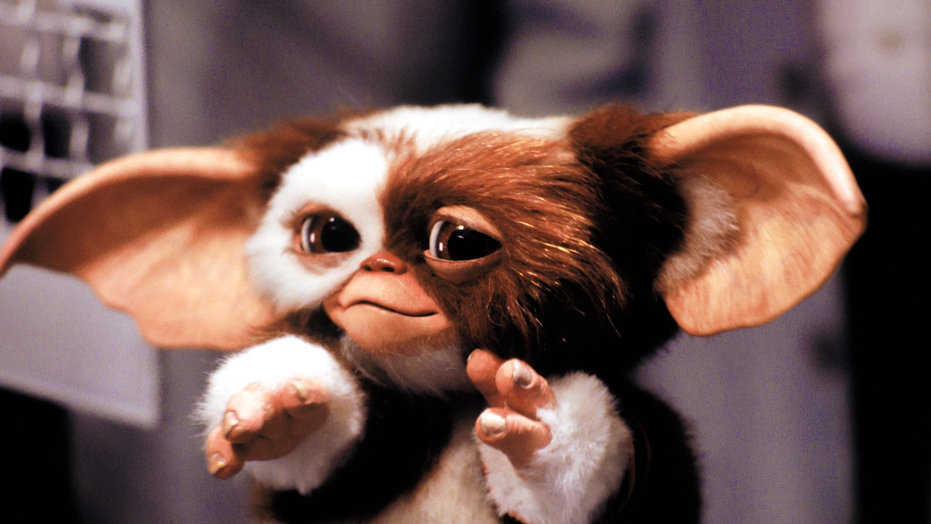 Movie database, Film information, Gremlins details, Cast and crew, 1920x1080 Full HD Desktop