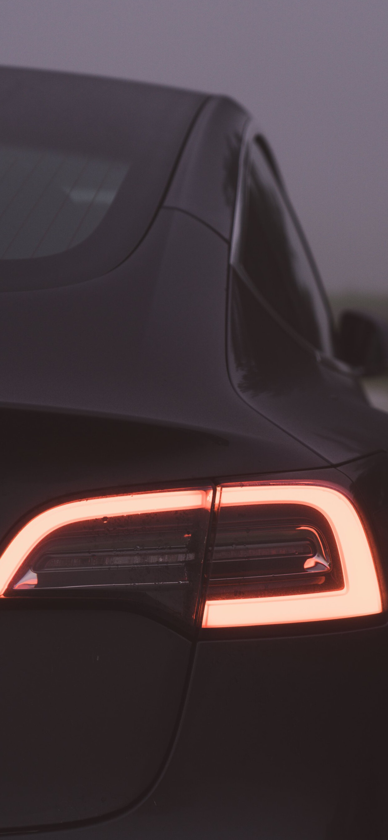 Close-up, Tesla Model Y Wallpaper, 1250x2690 HD Phone