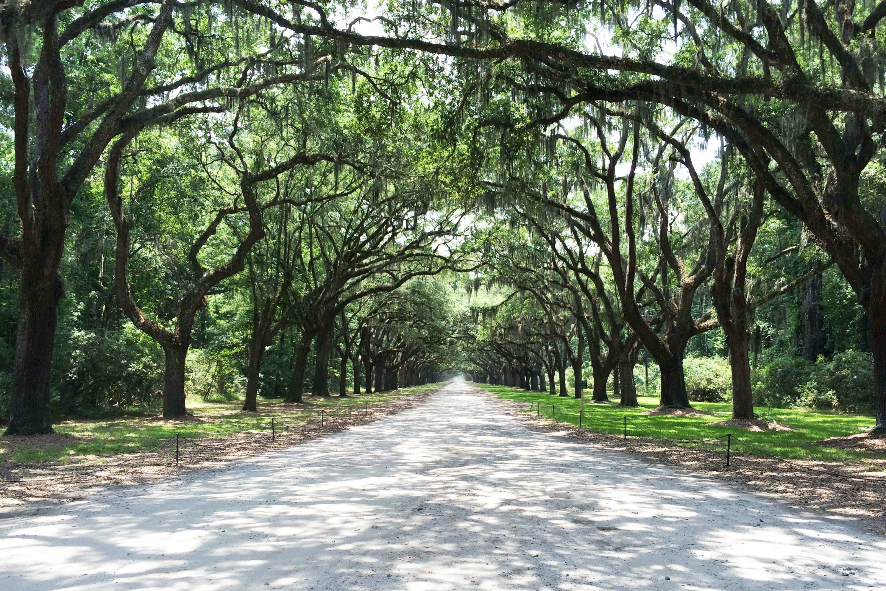 Savannah, Georgia, Architecture, Park walkway, 3000x2000 HD Desktop