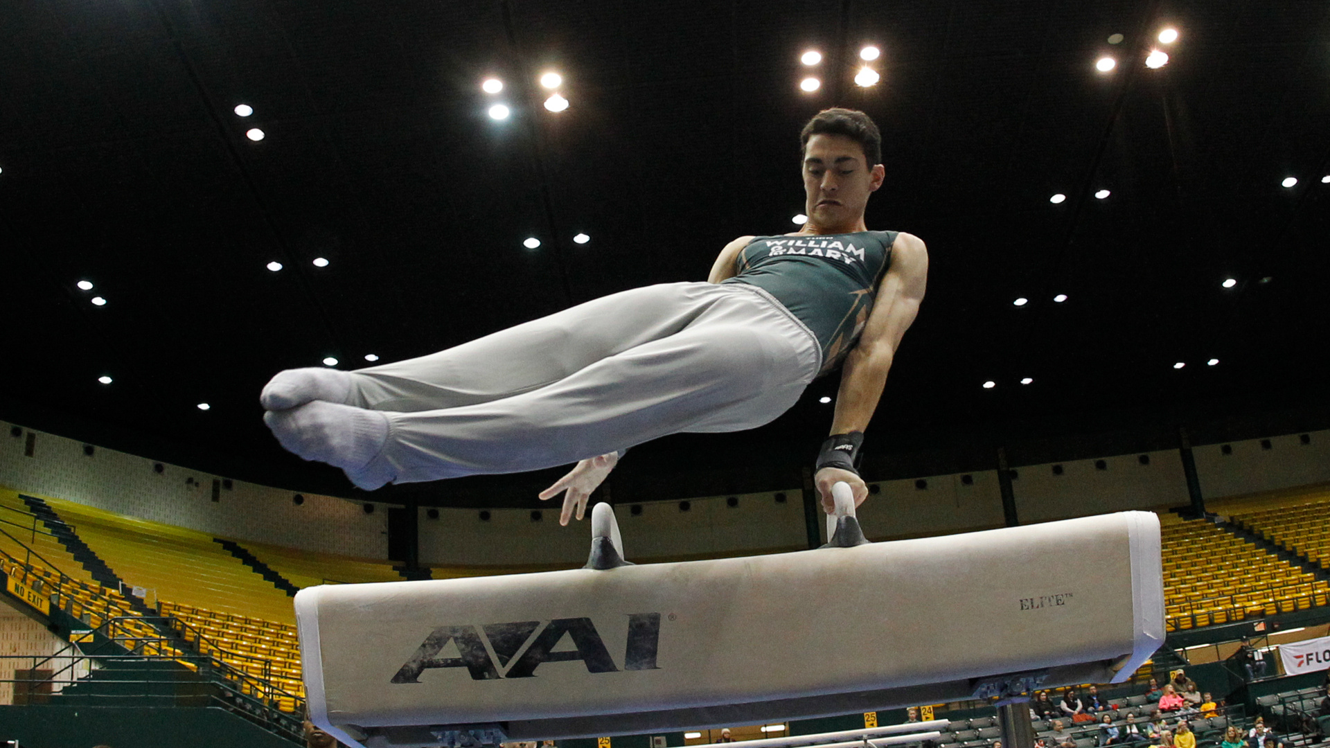 Christian Gulotta, Pommel Horse (Gymnastics) Wallpaper, 1920x1080 Full HD Desktop