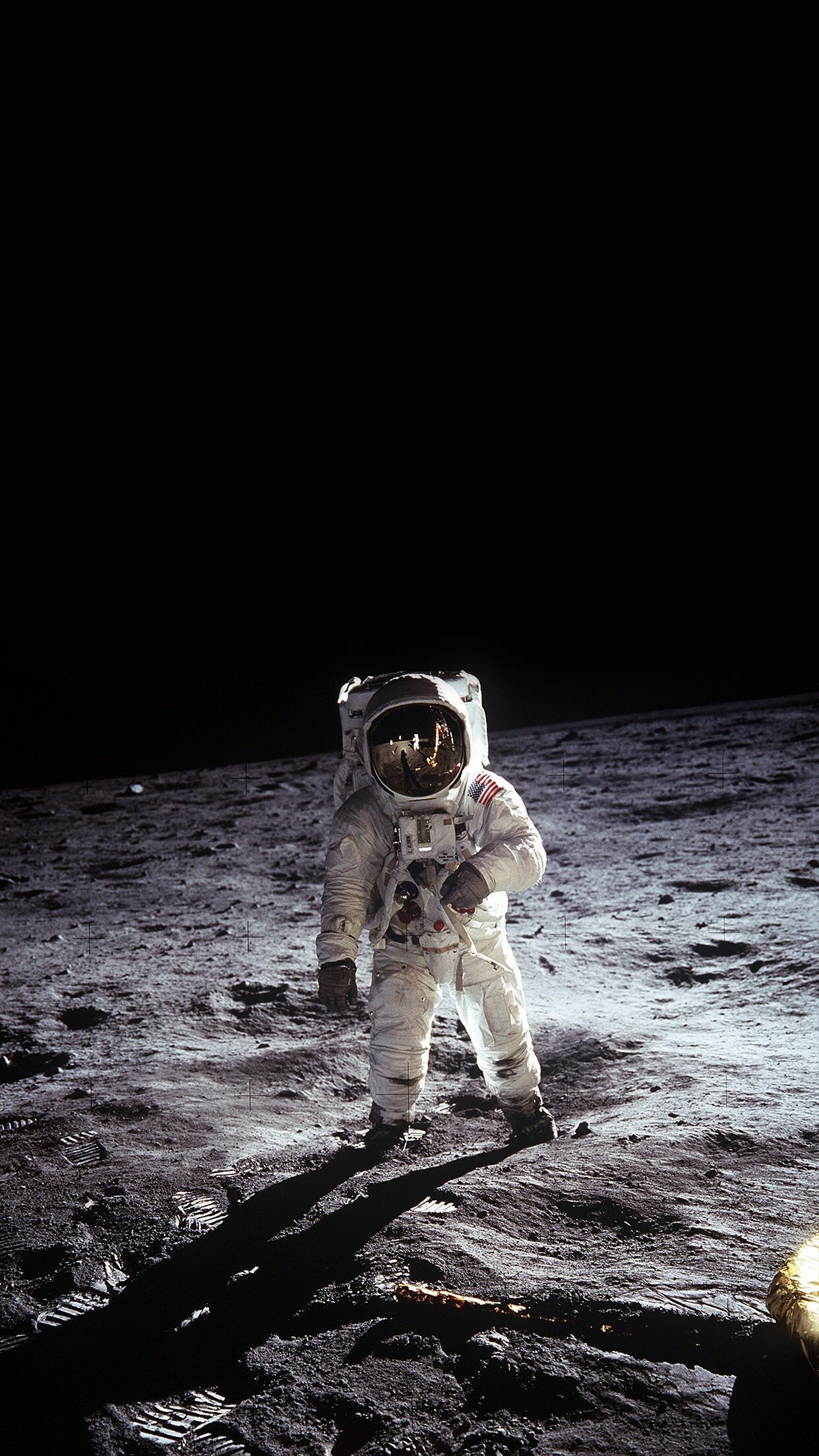 Neil Armstrong, Apollo 11 Wallpaper, 1250x2210 HD Phone