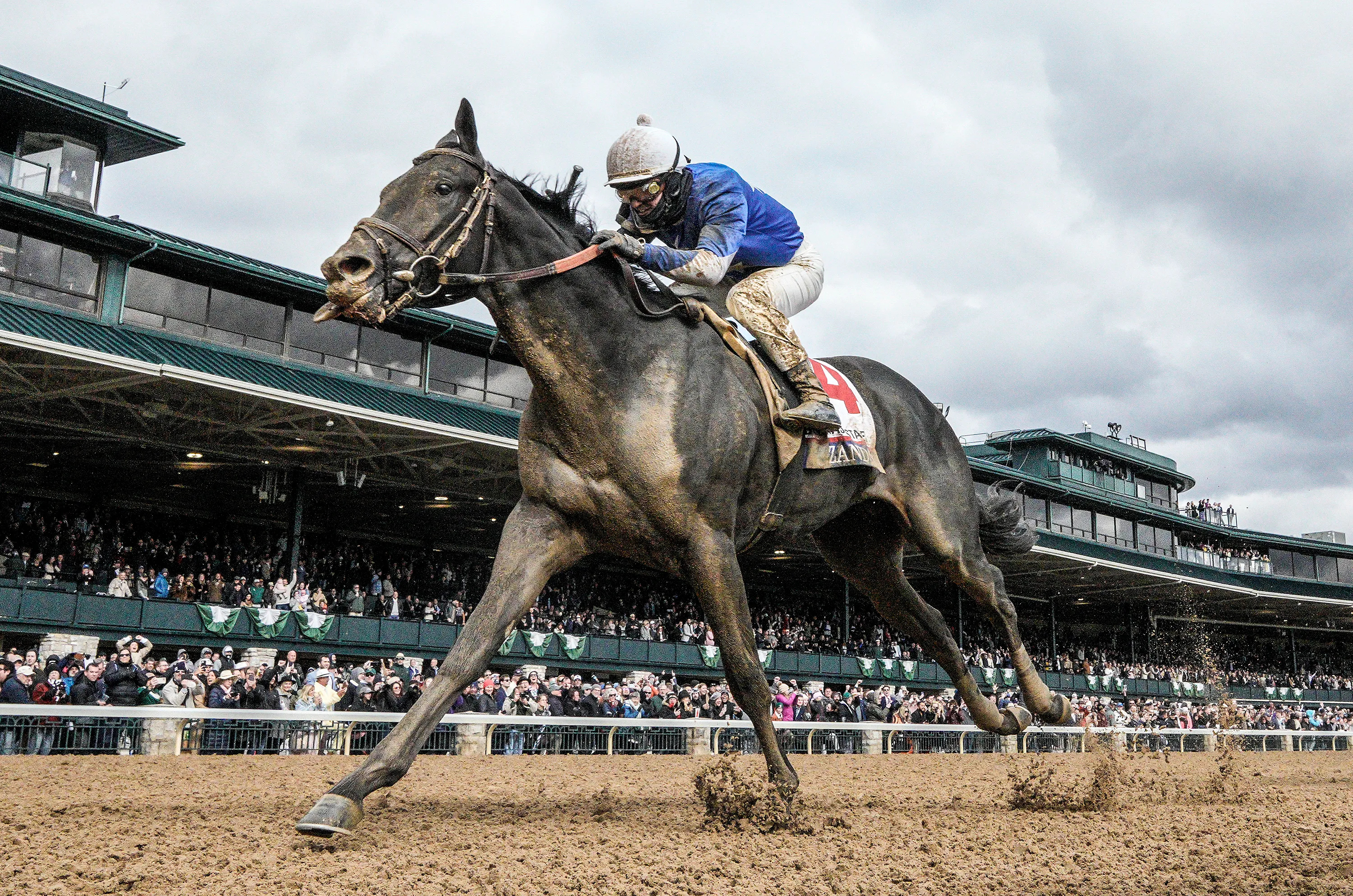 Zandon, Kentucky Derby Wallpaper, 3000x1990 HD Desktop