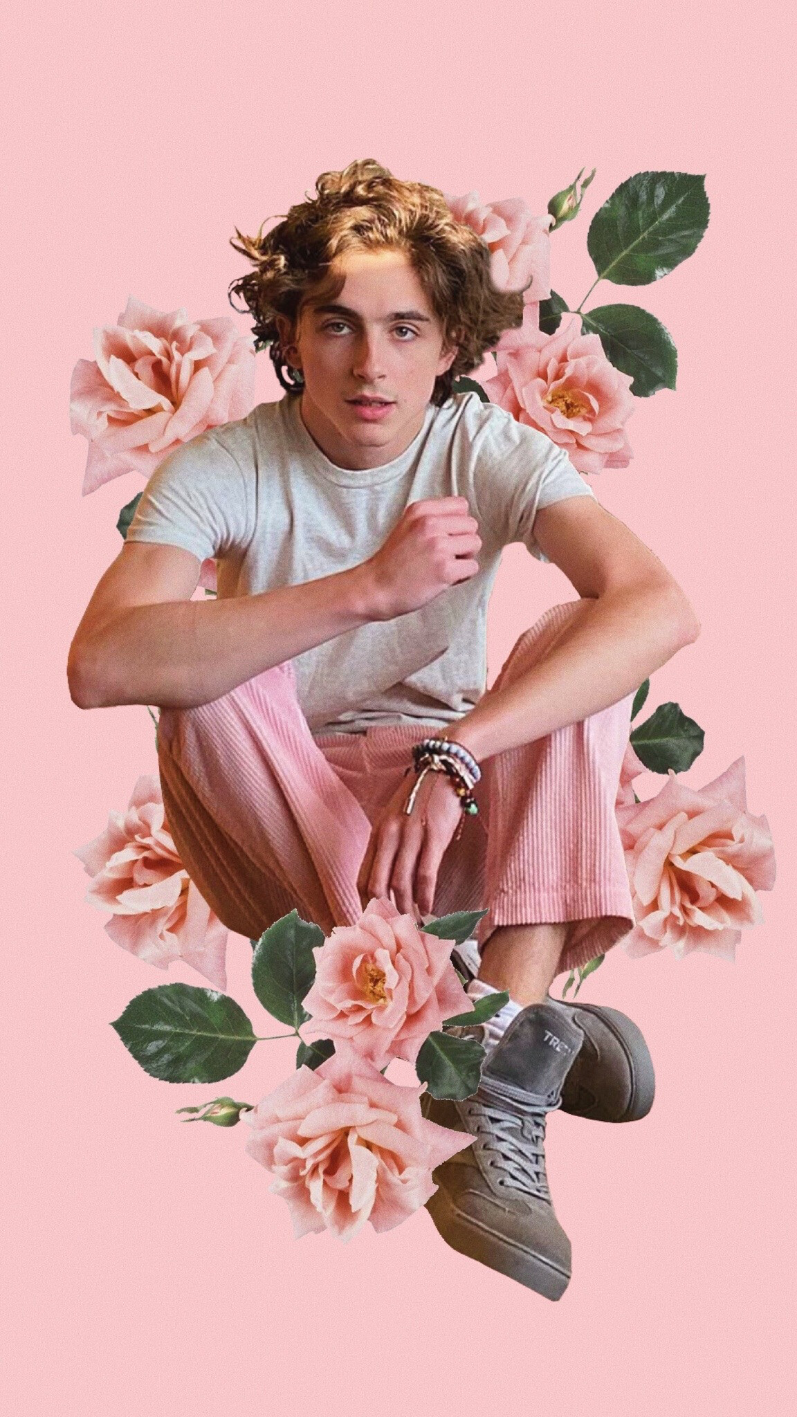 Timothee Chalamet, Wall collage artist, Creative visuals, 1160x2050 HD Phone