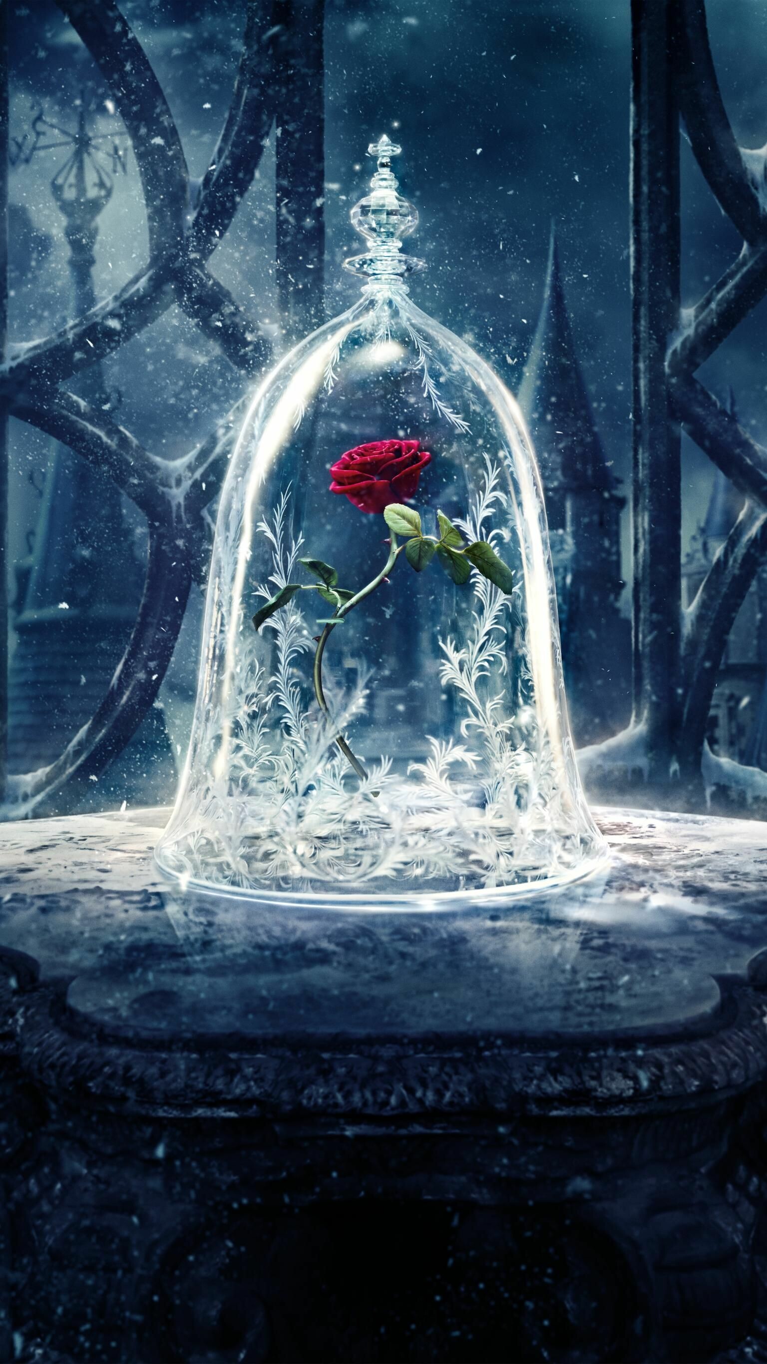 Beauty and the Beast phone wallpaper, Moviemania, 1540x2740 HD Phone