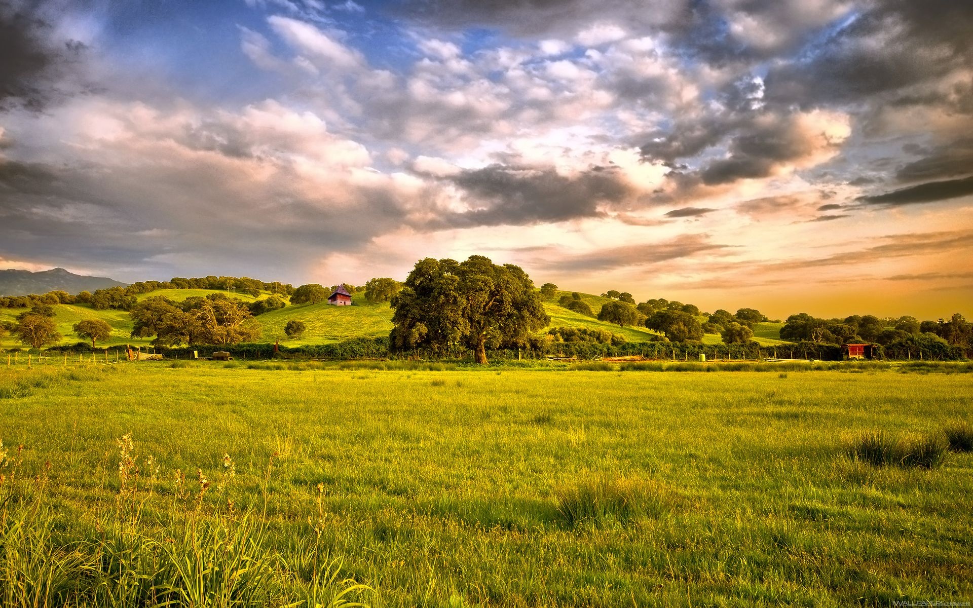 Grassland HD wallpapers, Natural wonders, Wide-open spaces, Pristine beauty, 1920x1200 HD Desktop