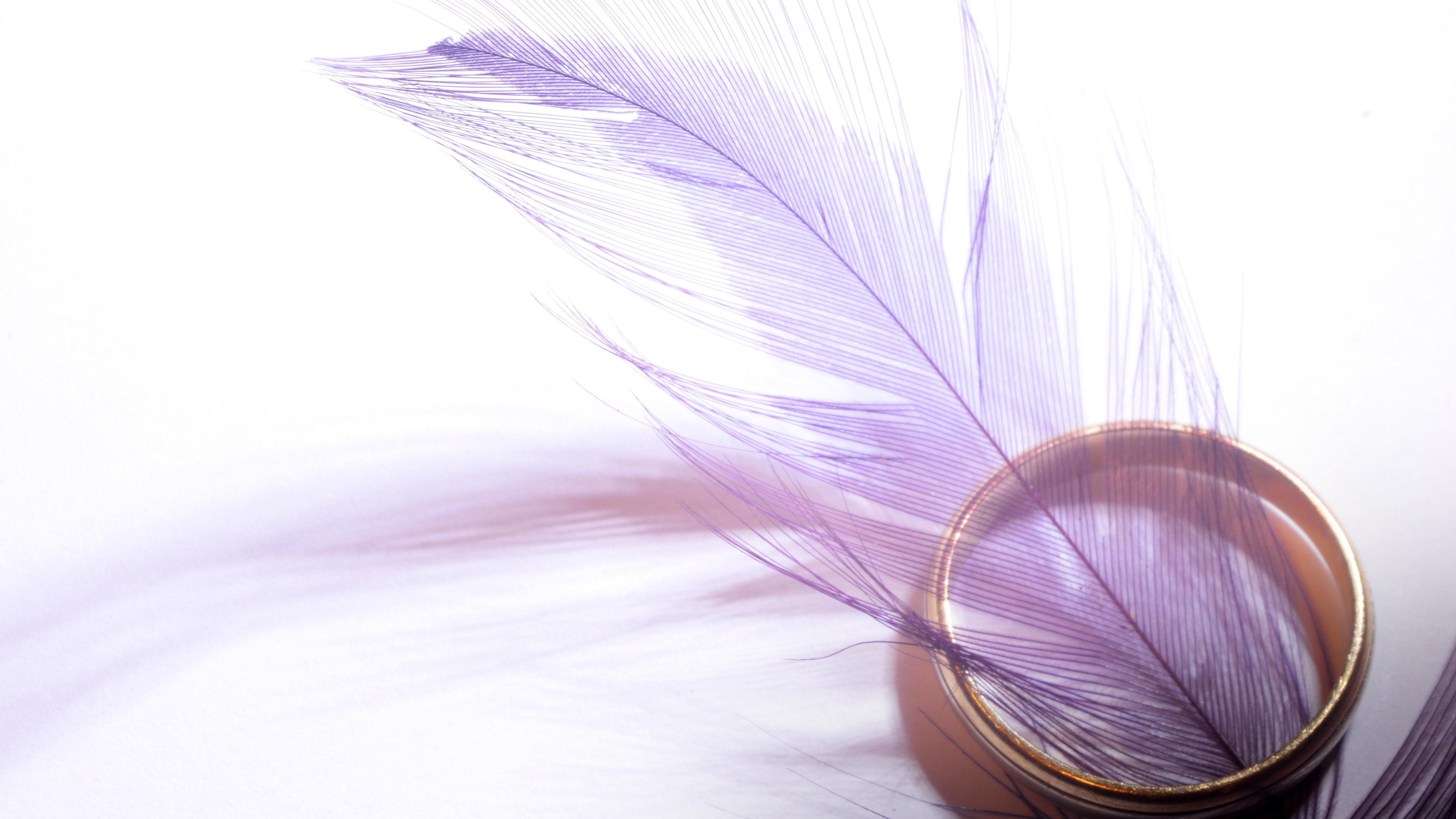 Purple feather, Gold ring, HD wallpaper, Desktop tablet, 3840x2160 4K Desktop