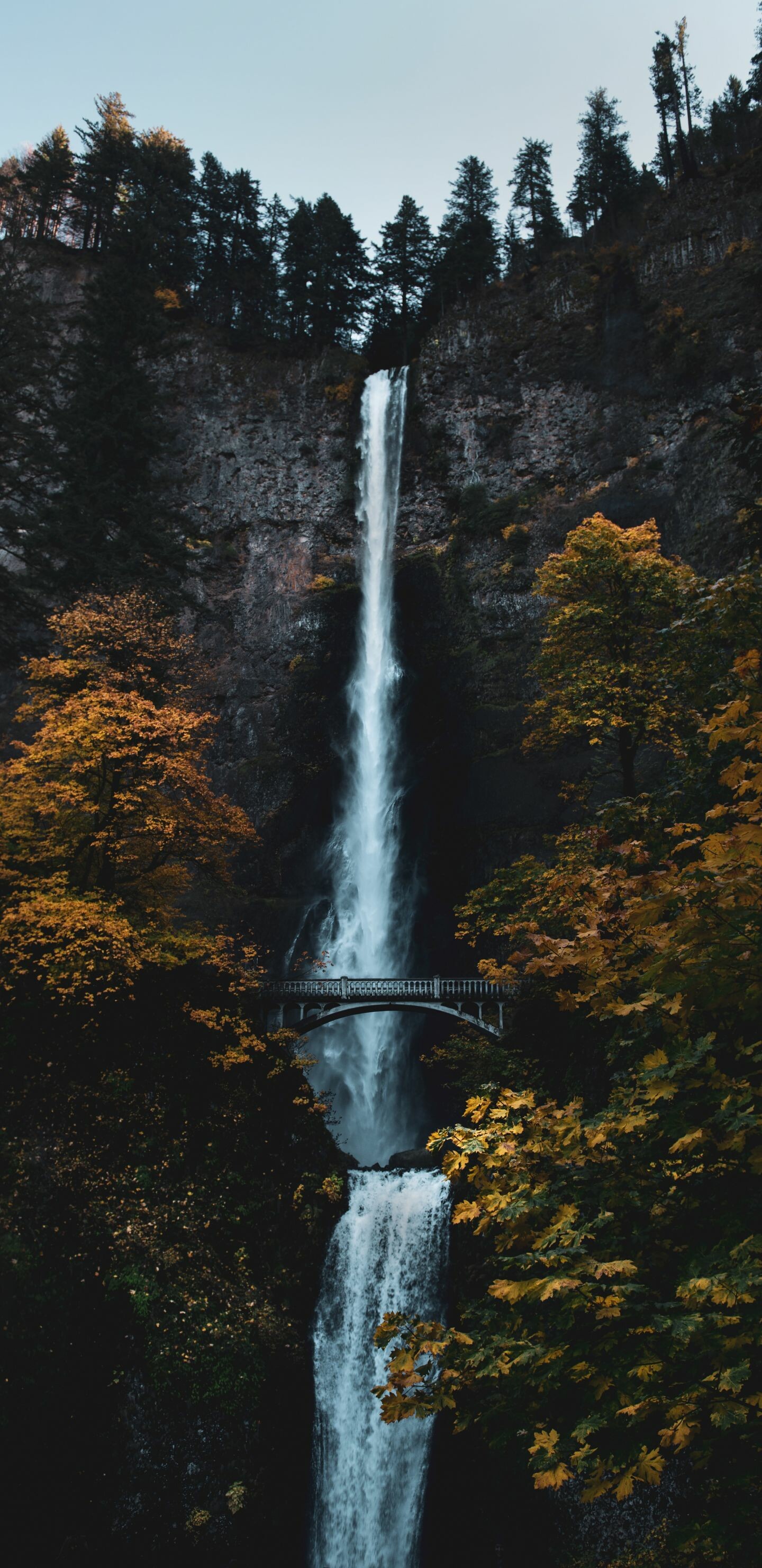 Multnomah, Waterfalls Wallpaper, 1440x2960 HD Phone