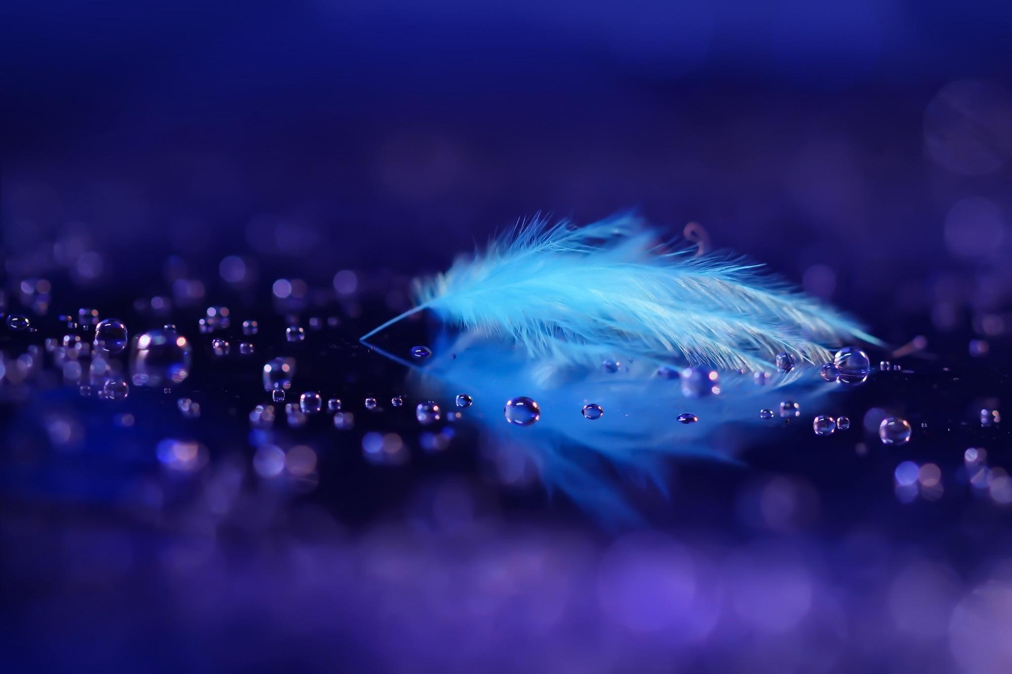 Feather artwork, Intricate design, High-resolution image, Wallpaper material, 2050x1370 HD Desktop