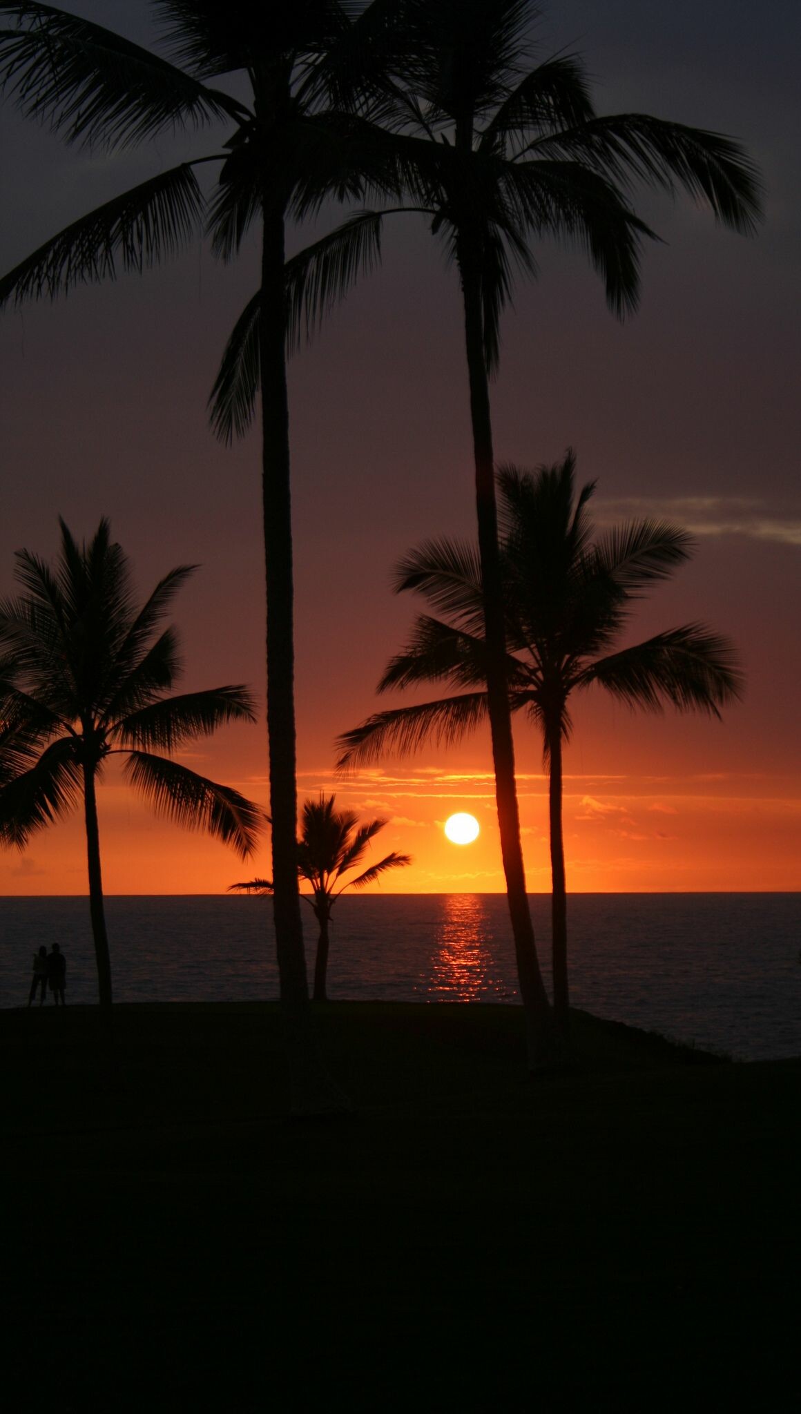 Hawaiian sunset, Tropical paradise, Nature's glory, Postcard-worthy scenery, 1160x2050 HD Phone