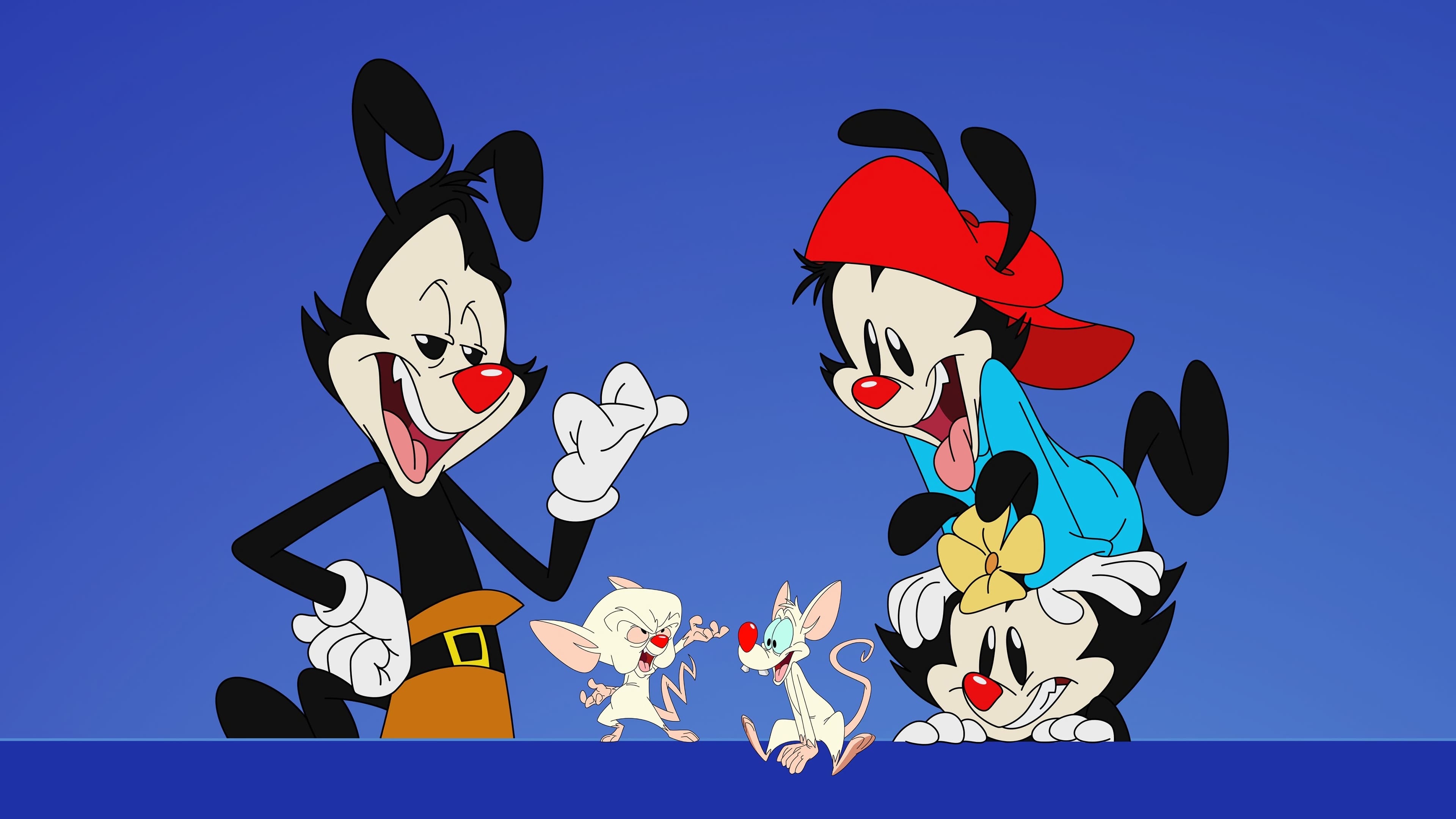 Pinky and the Brain, Animaniacs 2020, HD wallpapers, Cartoon characters, 3840x2160 4K Desktop