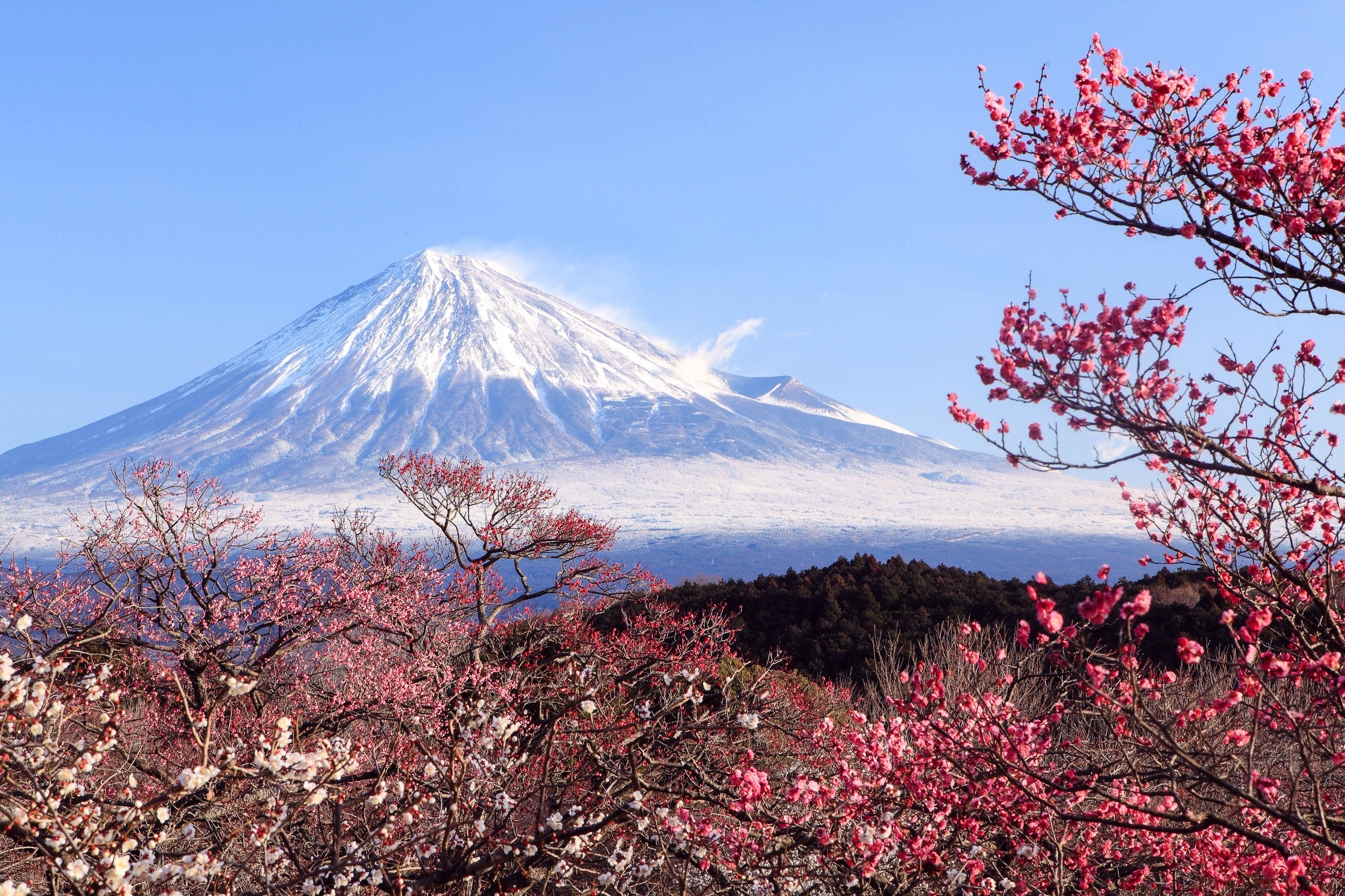 Iwamotoyama Park, Mount Fuji (Japan) Wallpaper, 2600x1740 HD Desktop