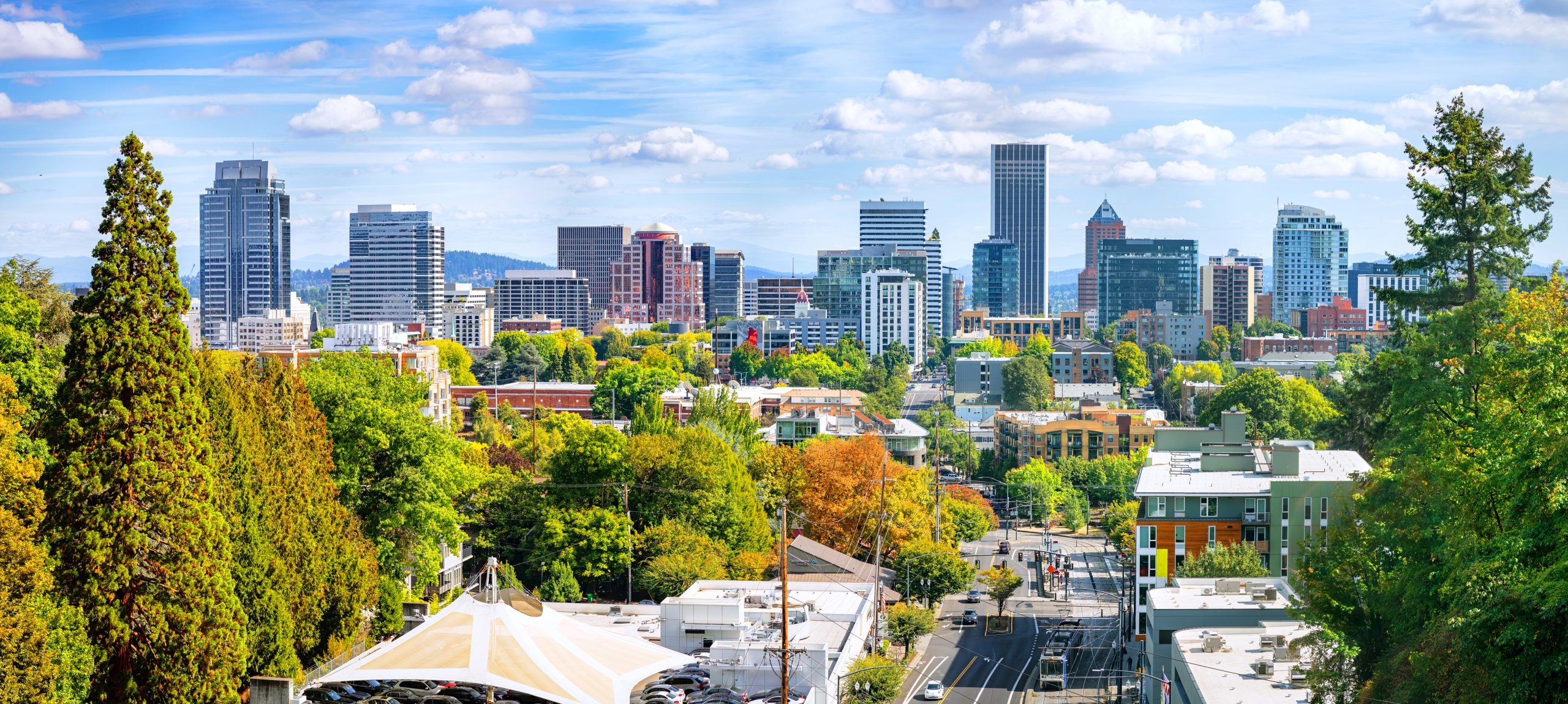 Portland Skyline, Travels, Portland Oregon, Colorful Leaves, 2560x1150 Dual Screen Desktop