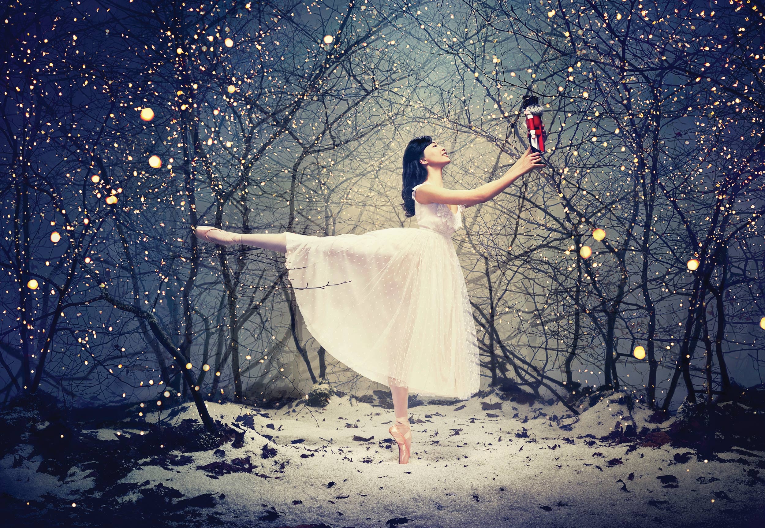 Nutcracker English National, English National Ballet, Ballet, English National, 2500x1730 HD Desktop