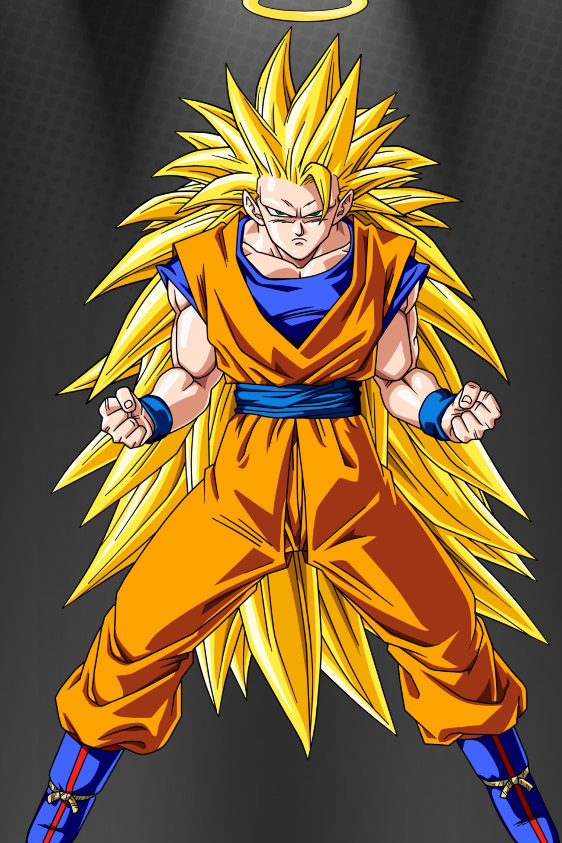 Dragon Ball Z, Super Saiyan Goku, HD desktop wallpapers, Mobile backgrounds, 1950x2920 HD Phone