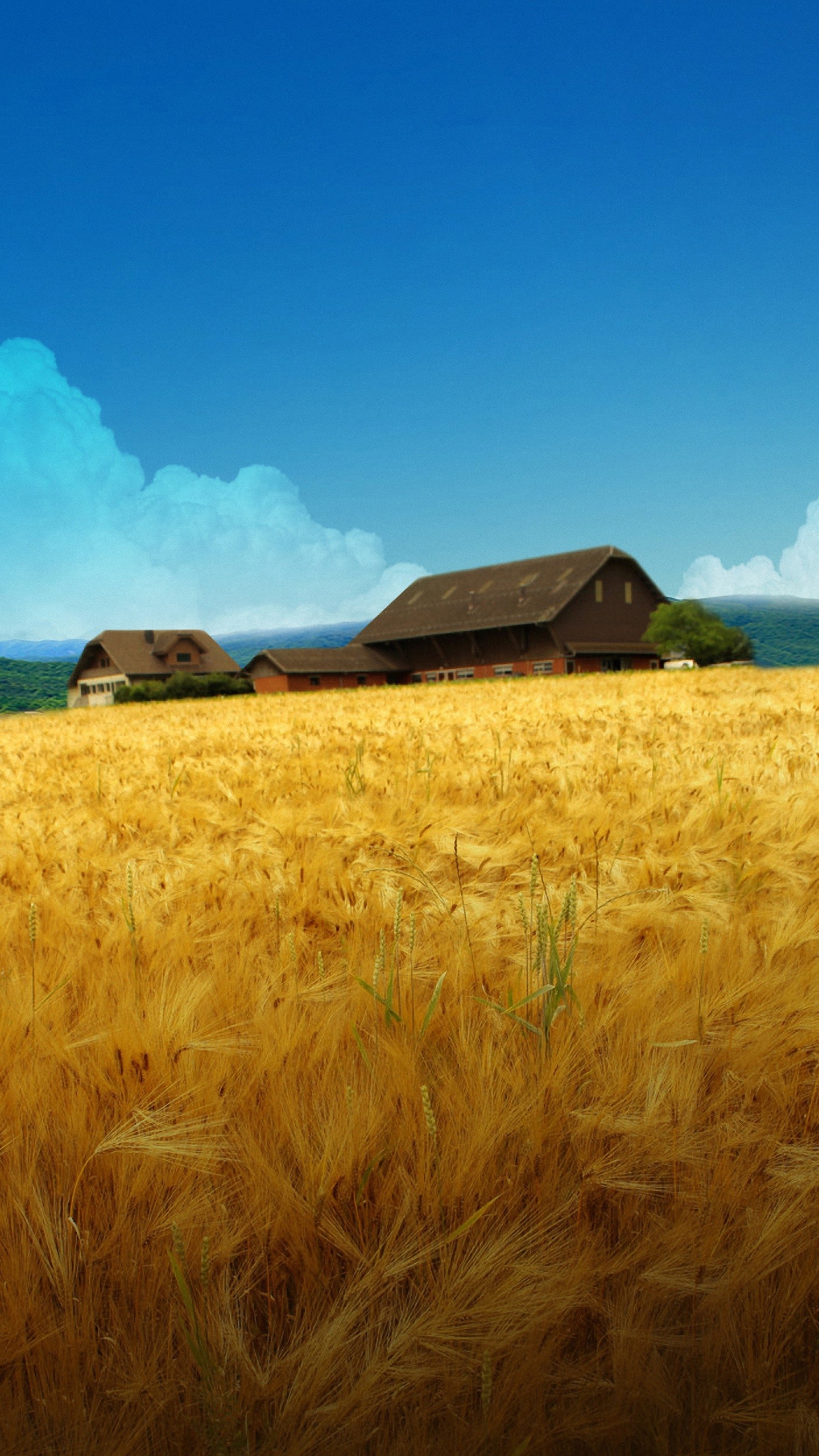 Farm phone wallpapers, Mobile-friendly, Farm life visuals, Backgrounds, 1440x2560 HD Phone