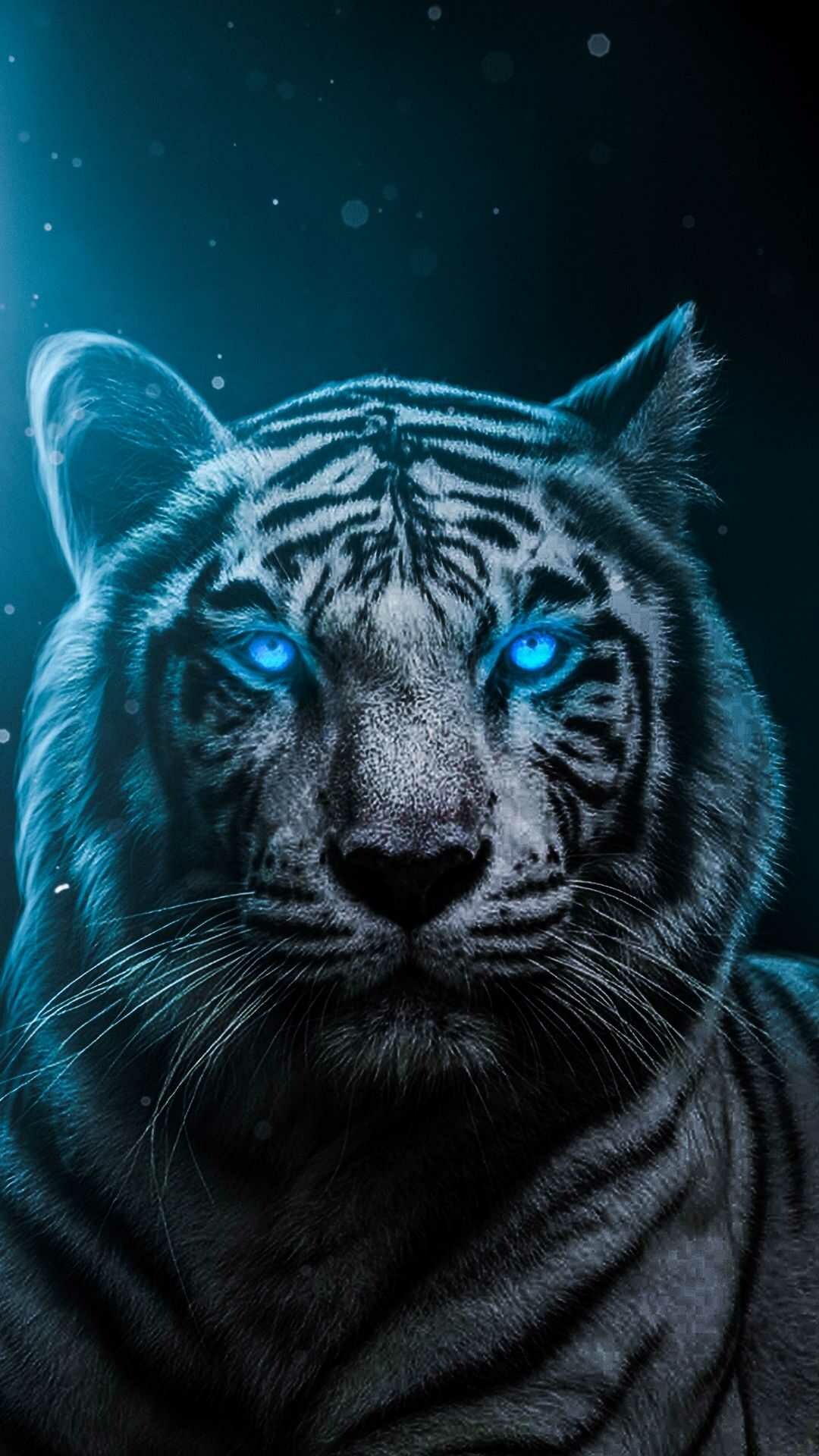 Powerful tiger stare, Beautiful striped coat, 1080x1920 Full HD Phone