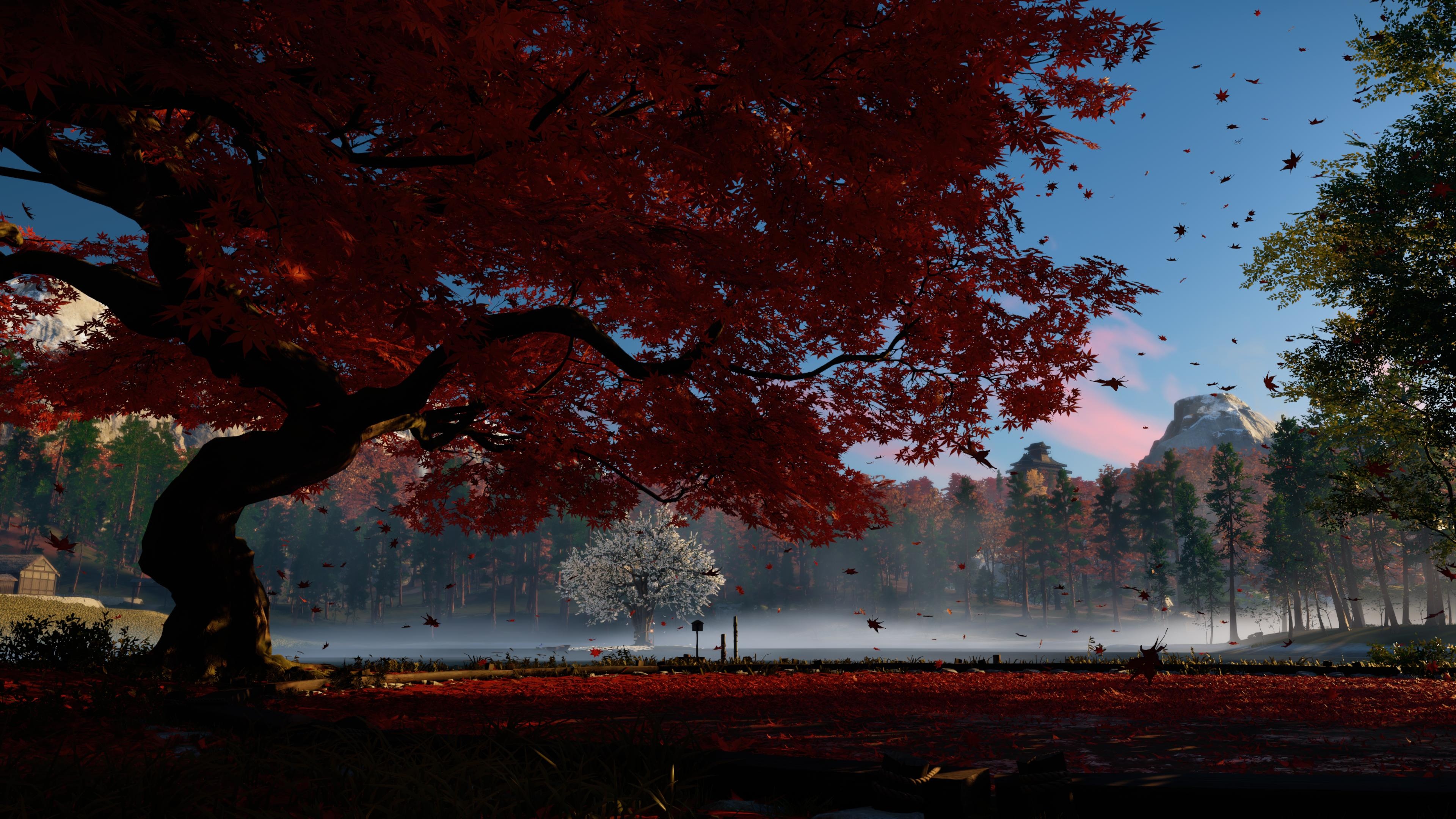 Ghost of Tsushima, Maple Tree Wallpaper, 3840x2160 4K Desktop