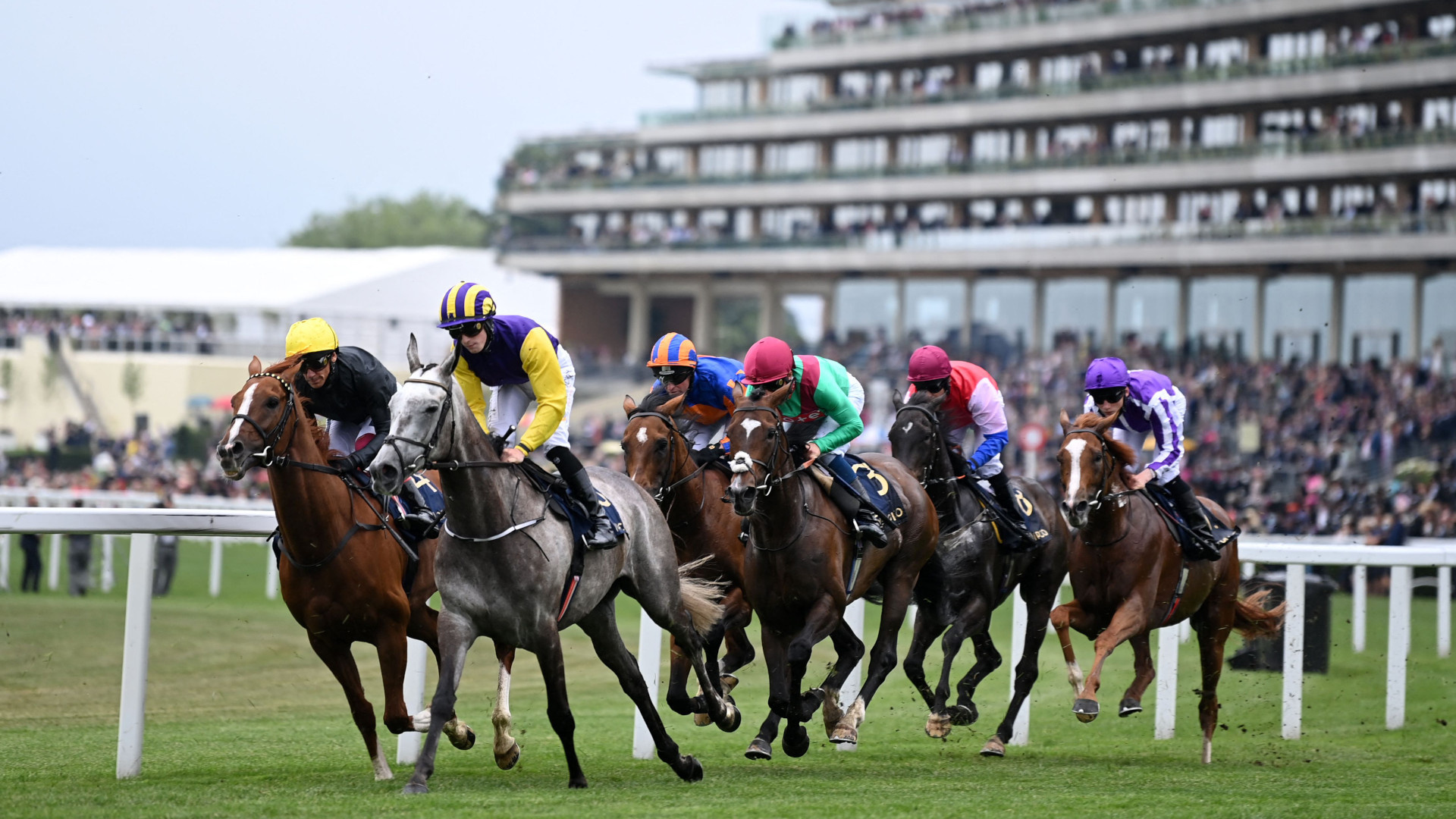 Horse Racing, Royal Ascot races, Free live stream, Horse racing coverage, 1920x1080 Full HD Desktop