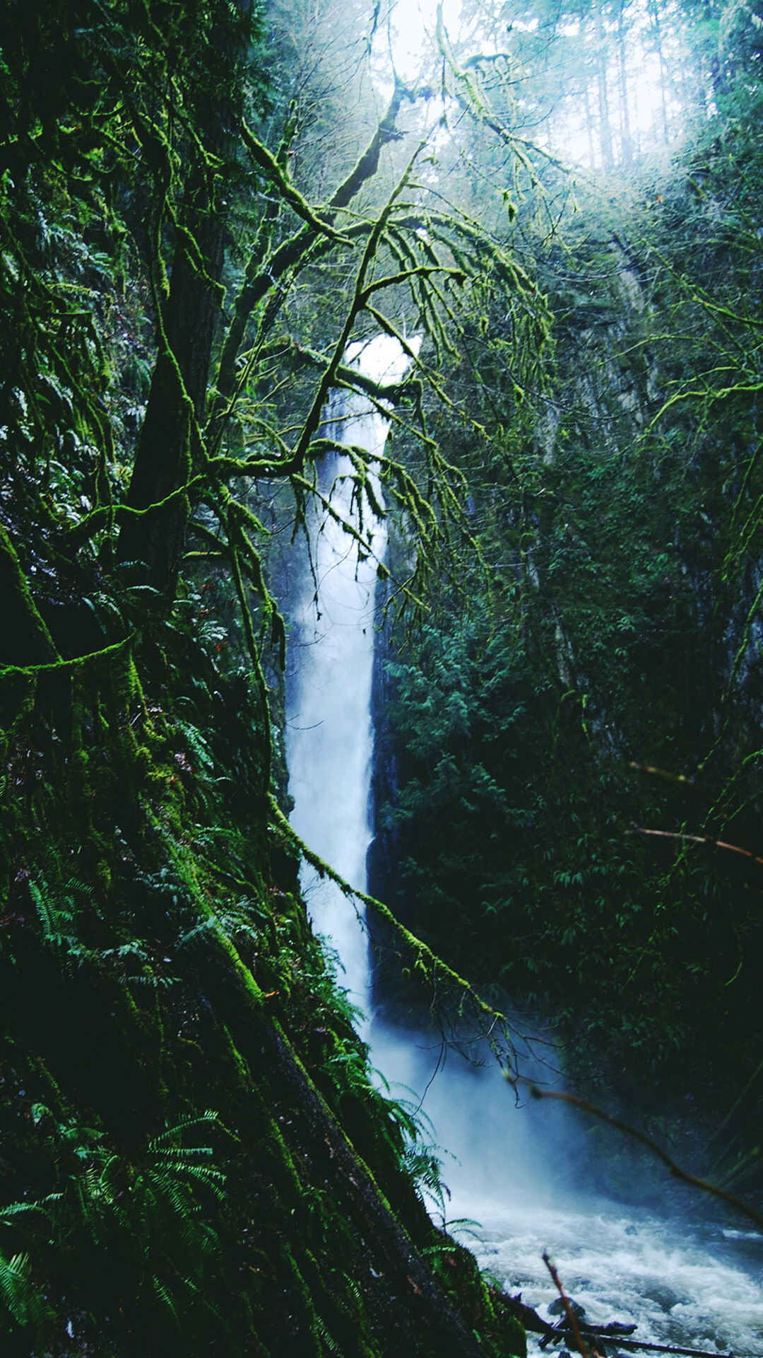 Waterfall oasis, iPhone tranquility, Rainforest dreams, Captivating beauty, 1080x1920 Full HD Phone