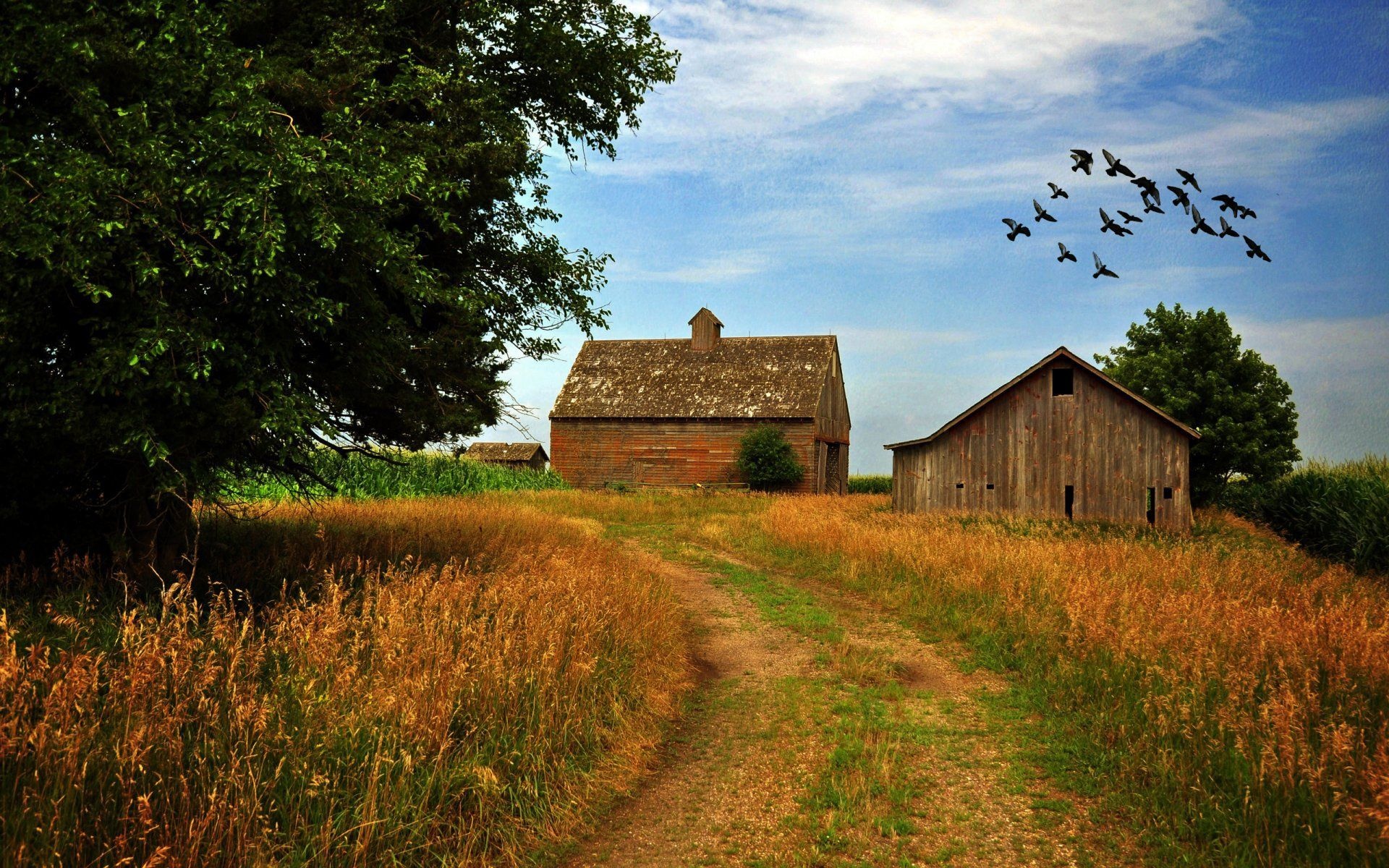 Iowa scenery, Nature wallpapers, Rural landscapes, Beautiful Iowa, 1920x1200 HD Desktop