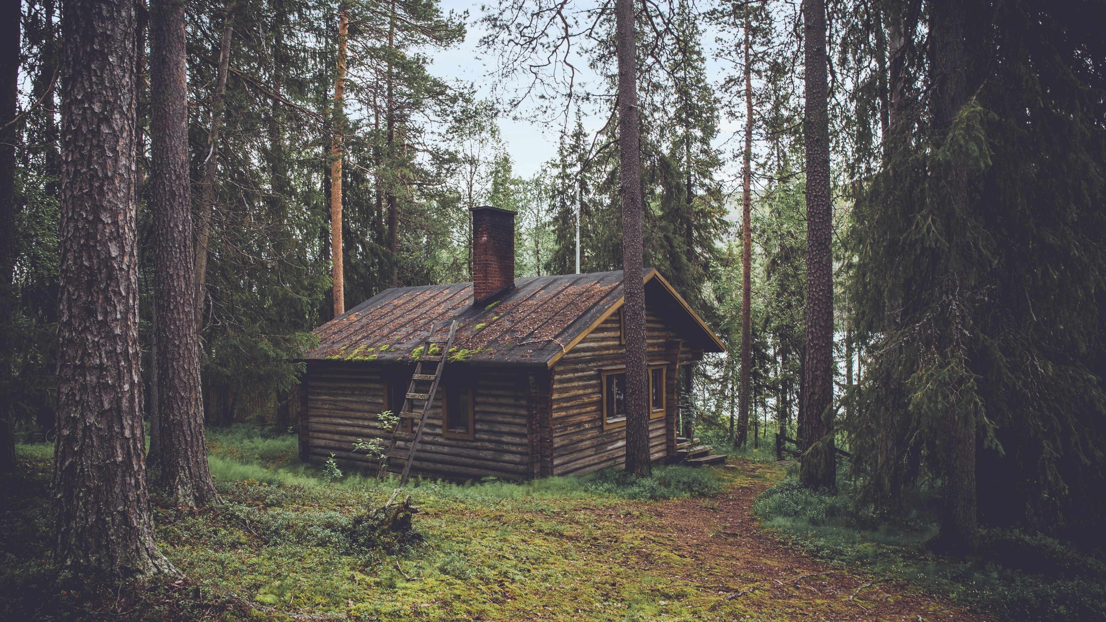 Forest Cabin, Log Cabin Wallpaper, 3840x2160 4K Desktop