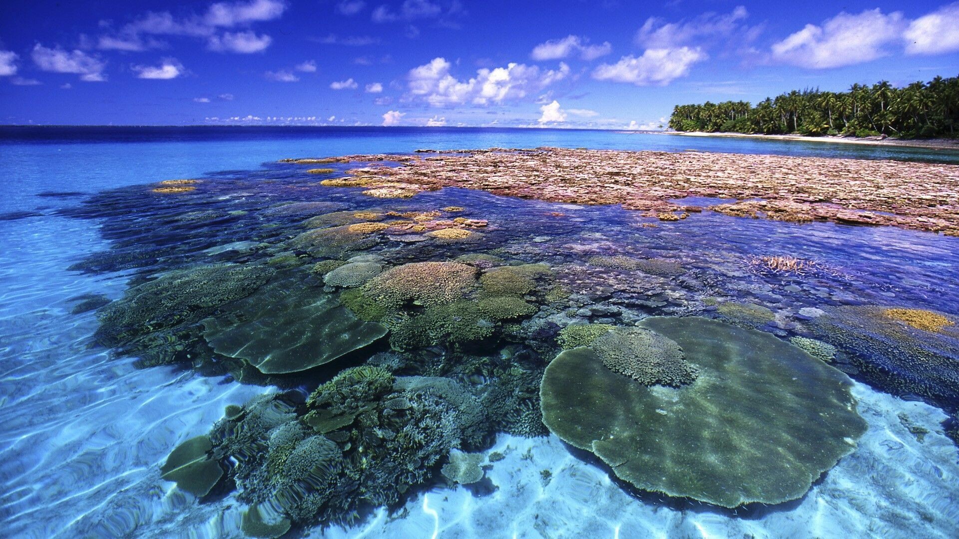 Great Barrier Reef, Coral Reefs Wallpaper, 1920x1080 Full HD Desktop