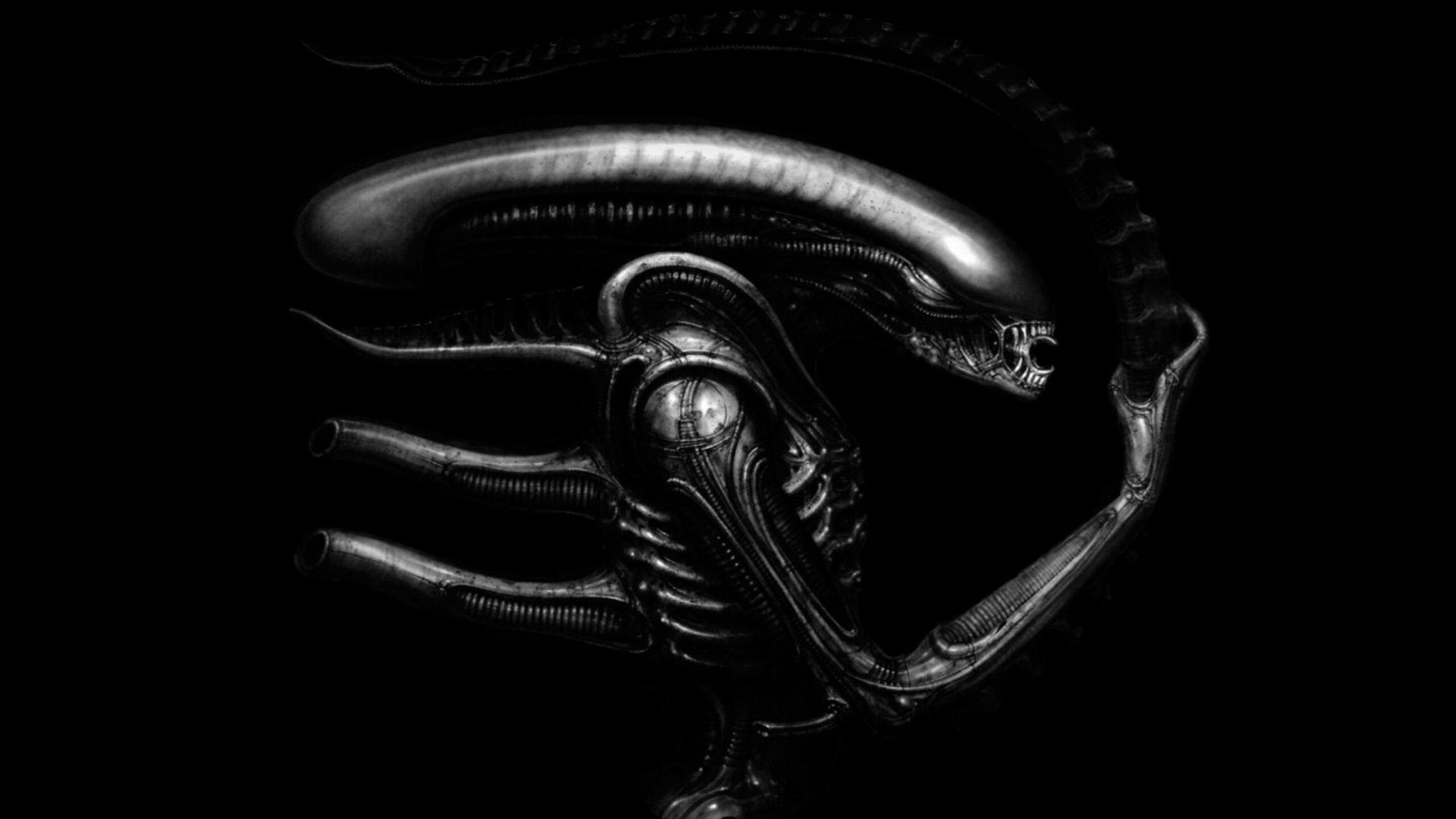 H.R. Giger, Alien xenomorphs, Dark horror art, Eerie aesthetics, 2560x1440 HD Desktop