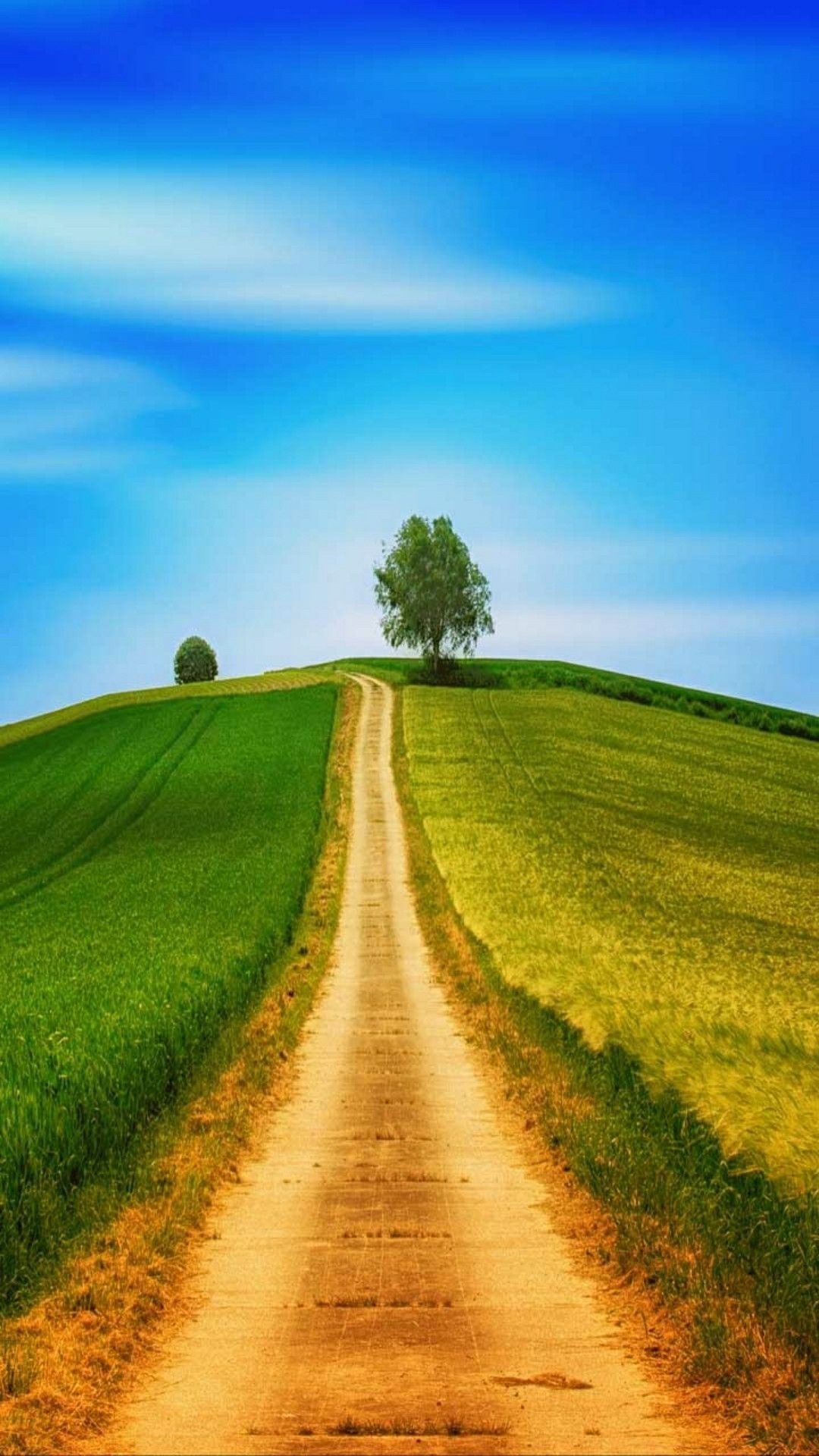 Farm road, Natural photography, Beautiful nature, Rural landscapes, 1080x1920 Full HD Phone