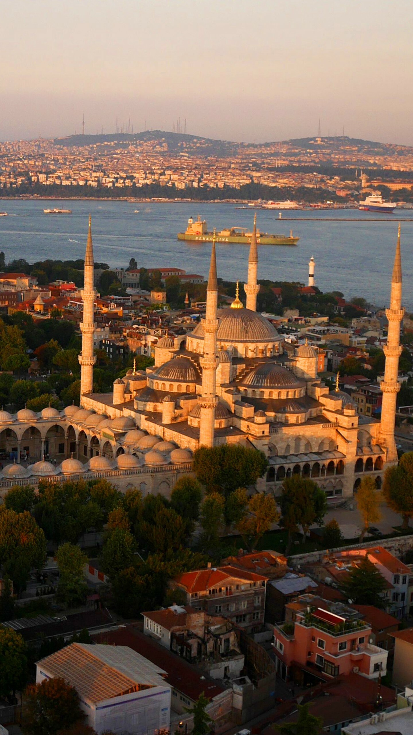 Turkey, Blue Mosque Istanbul, Tourism wallpaper, Architectural marvel, 1440x2560 HD Phone