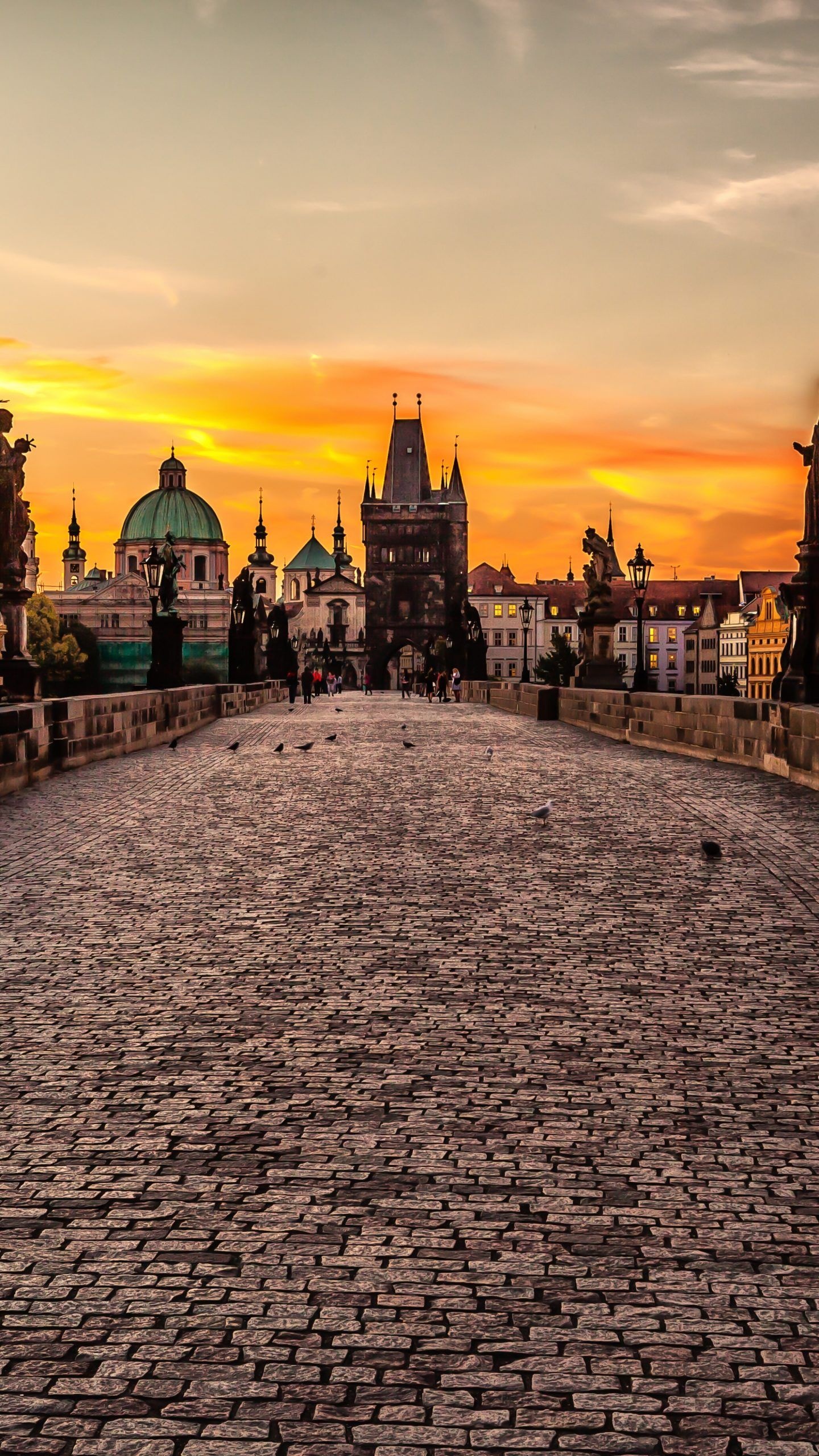 Architectural wonders, Captivating wallpapers, Charles Bridge's grandeur, Artistic expressions, 1440x2560 HD Phone