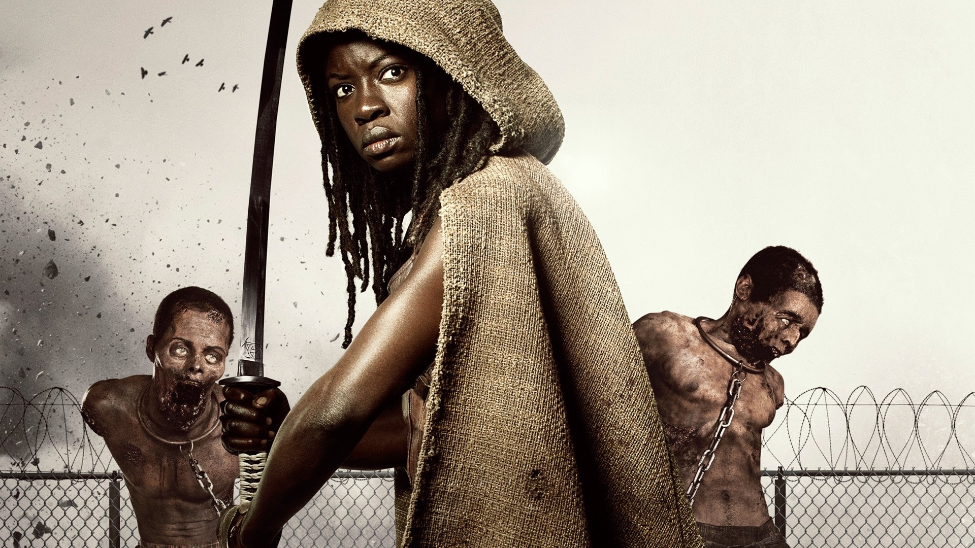 Michonne, The Walking Dead, HD wallpaper, 1920x1080 Full HD Desktop