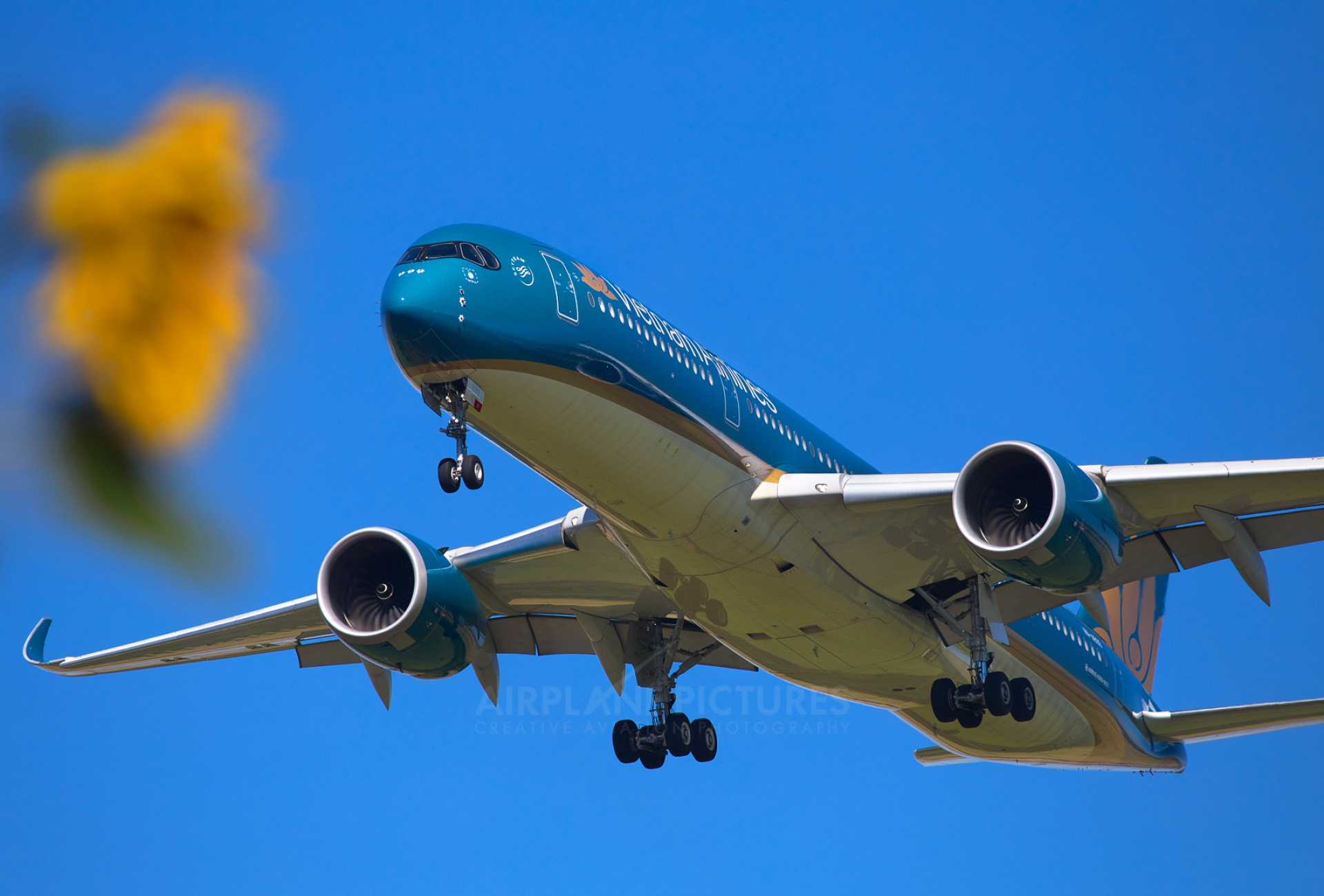 Vietnam Airlines, VN-A899, Airbus A350-900, Kyiv Borispol, 1920x1300 HD Desktop