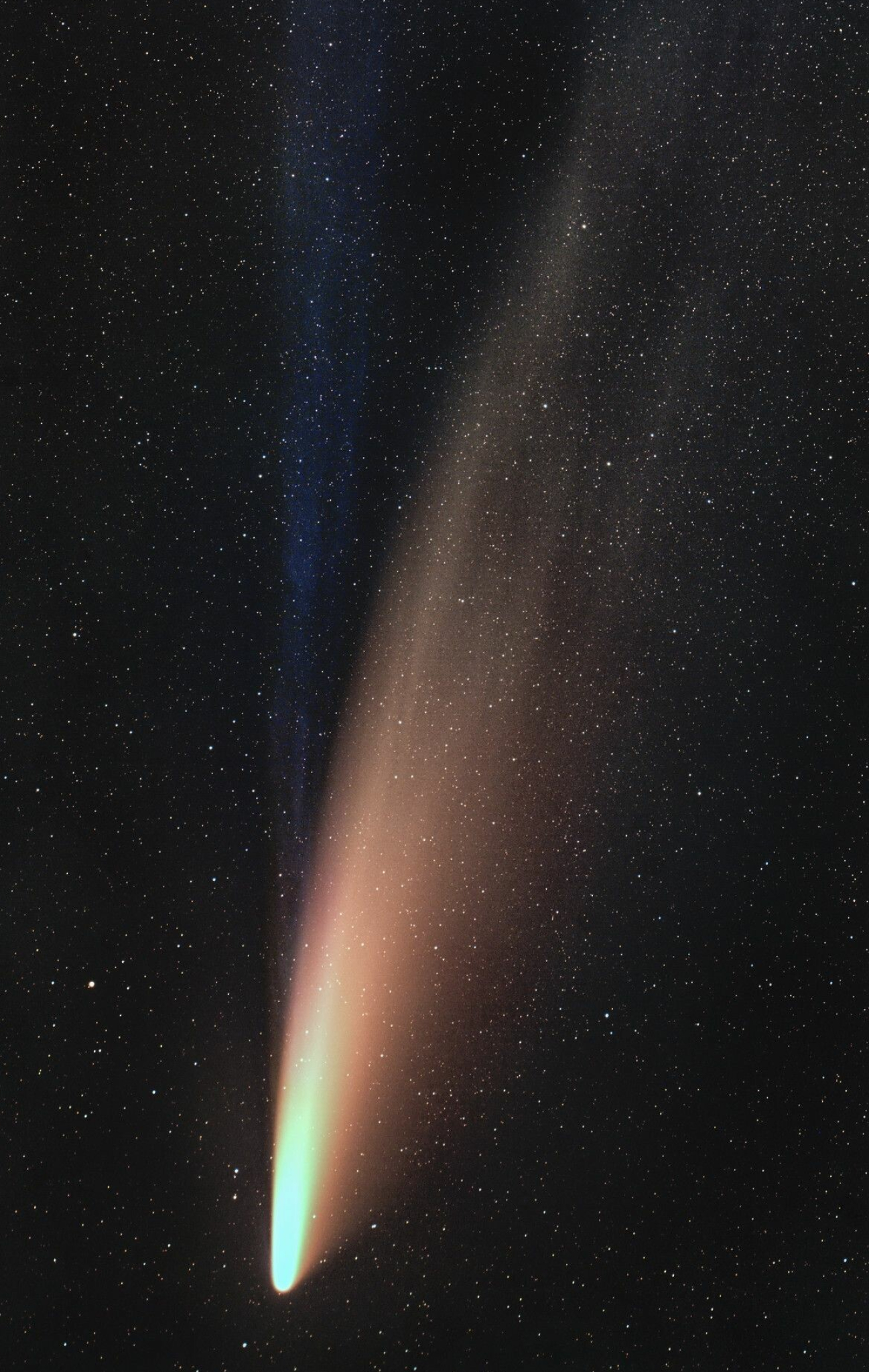 Comet, Comet C2020 F3 Neowise, Spectacular show astrophotography, 1300x2050 HD Phone