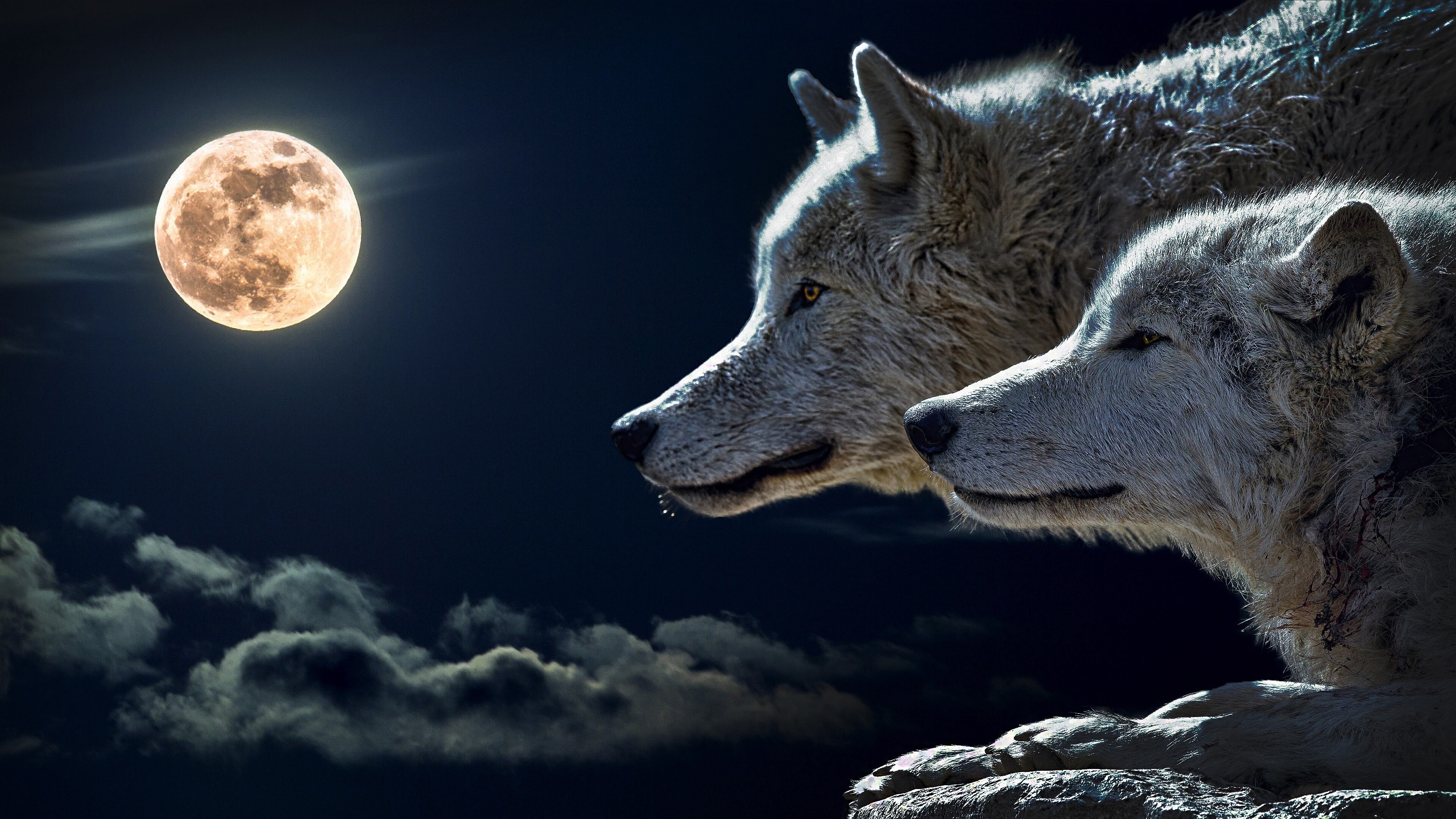 Couple, Wolves Wallpaper, 3840x2160 4K Desktop