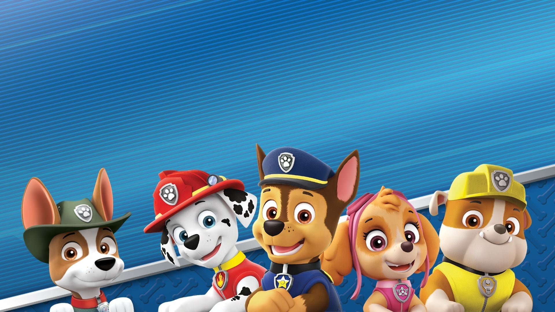 On a Roll, Paw Patrol Wallpaper, 1920x1080 Full HD Desktop