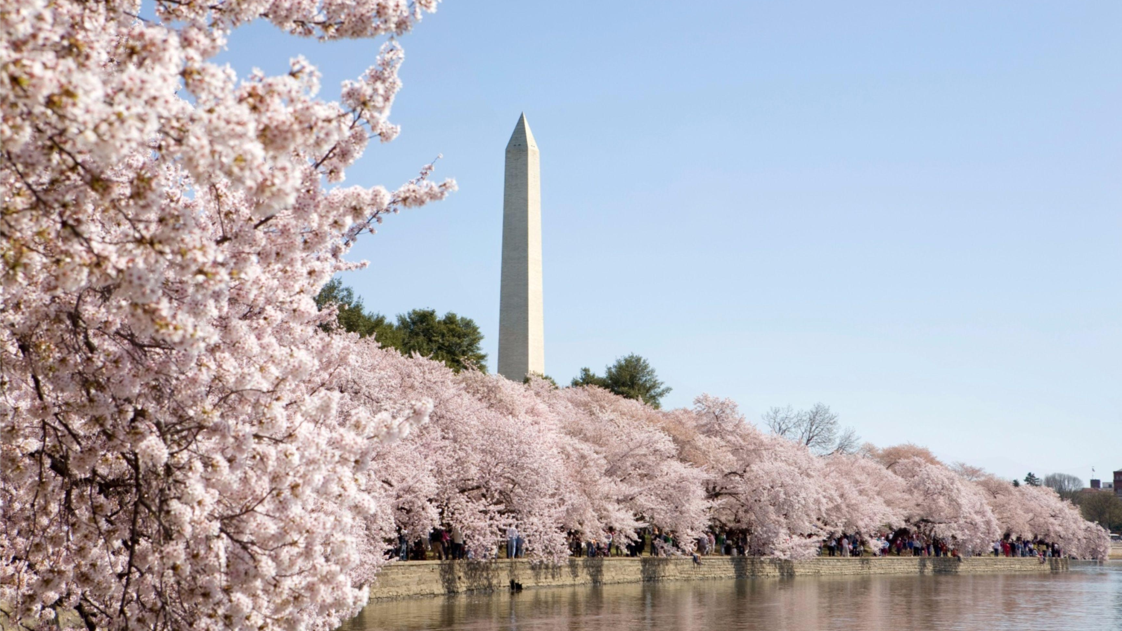 Washington Wallpapers, American Capital, Symbol of Democracy, Vibrant City, 3840x2160 4K Desktop