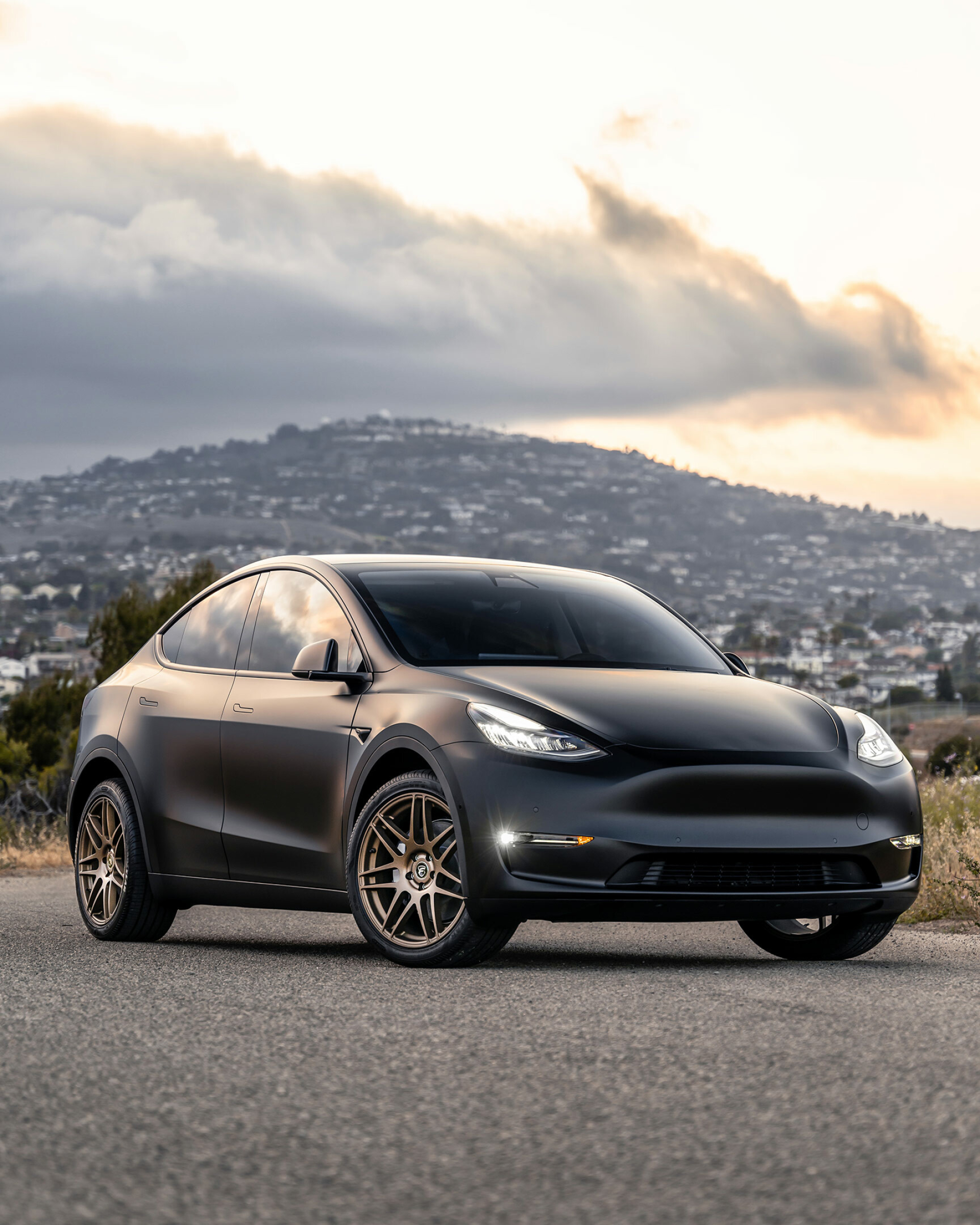 Forgestar F14, Tesla Model Y Wallpaper, 1920x2400 HD Phone