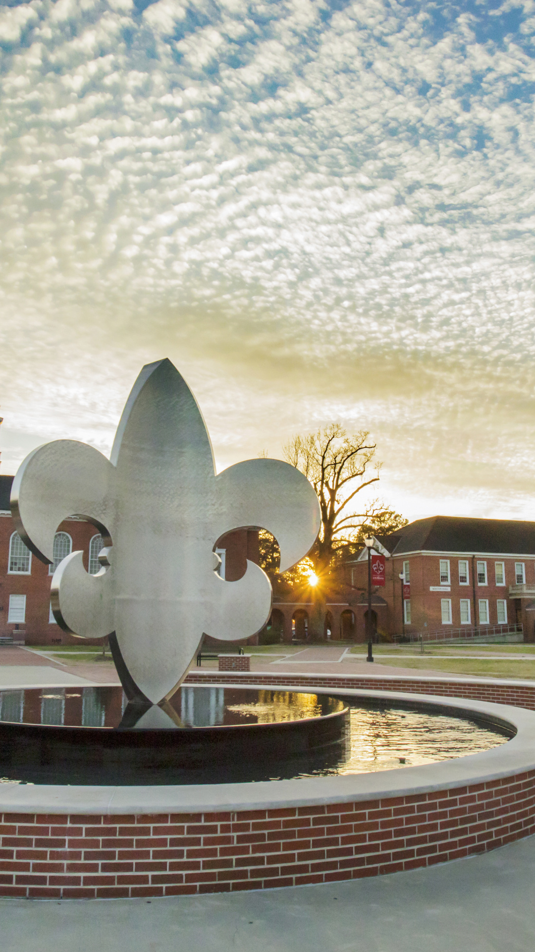 Louisiana travels, Residential acoustic, University of Louisiana, Lafeyette, 1080x1920 Full HD Phone