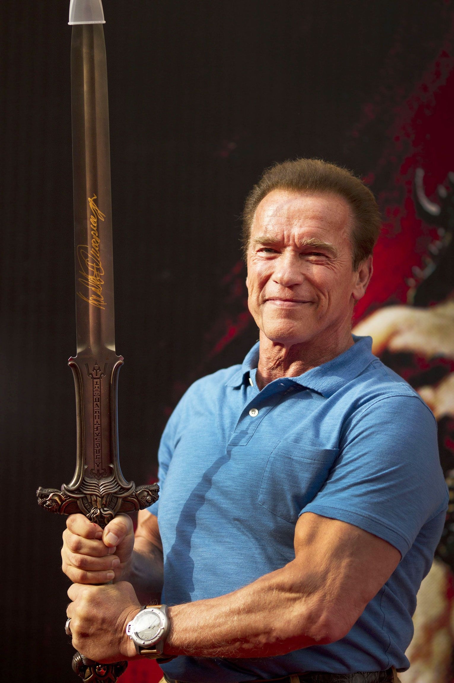 Arnold Schwarzenegger, Conan the Barbarian, Actor's desire, Iconic character, 1540x2300 HD Phone