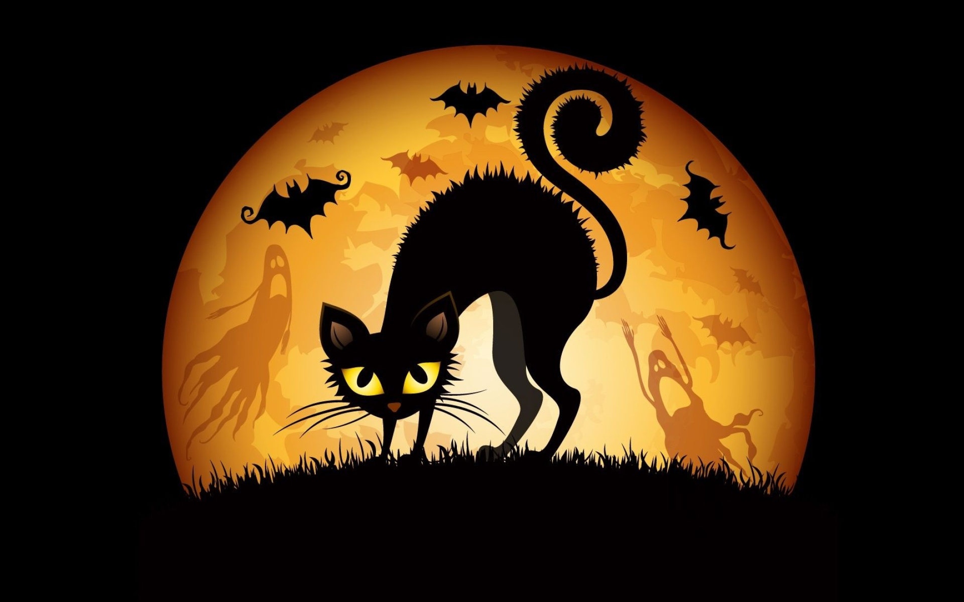 Halloween Cats