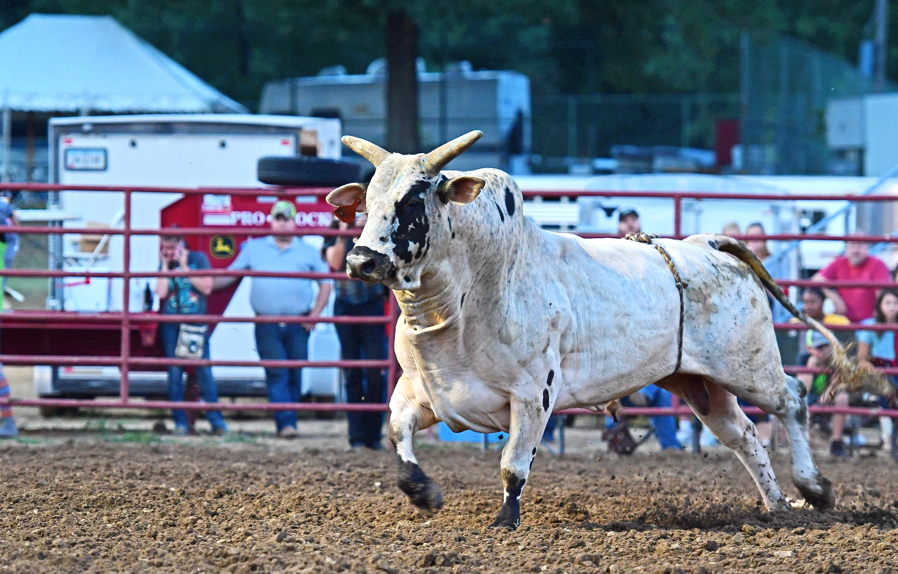 Freestyle American Bullfighting 2018, Bullriding Wallpaper, 2880x1840 HD Desktop