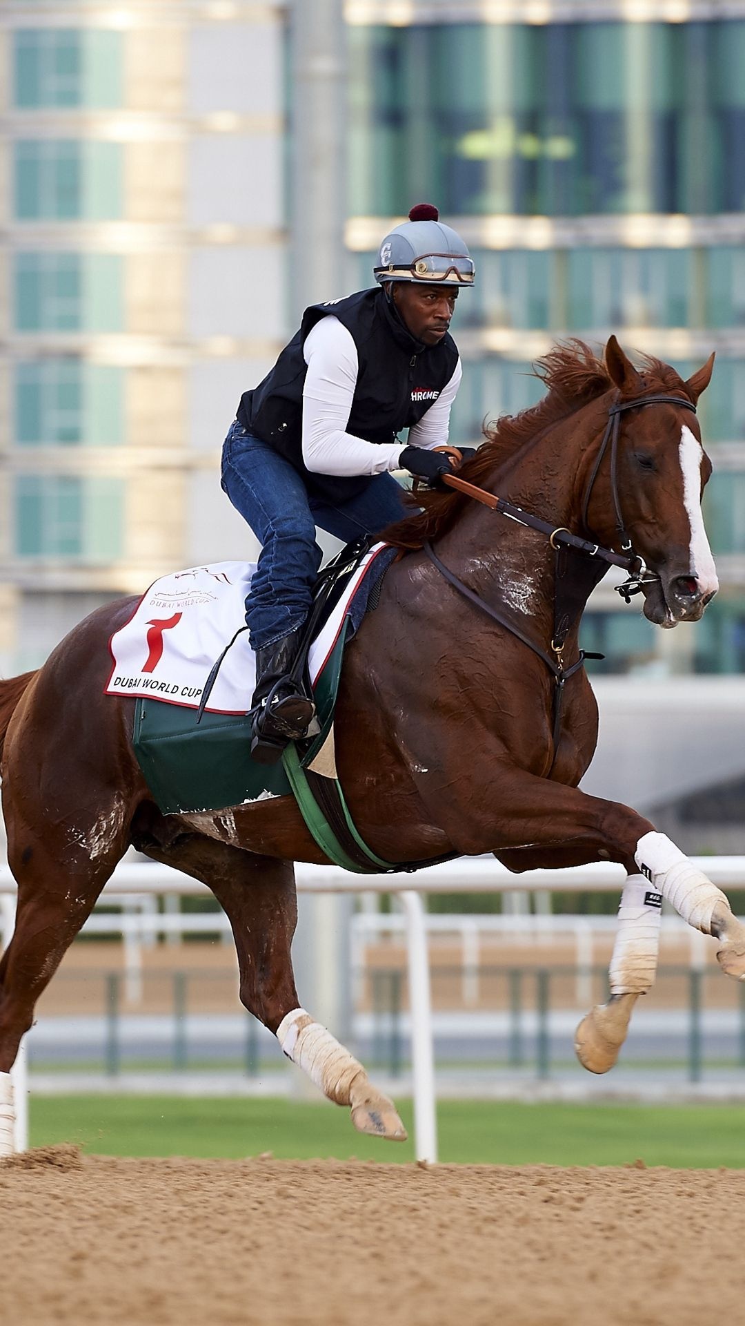 California Chrome, Equestrian Sports Wallpaper, 1080x1920 Full HD Phone