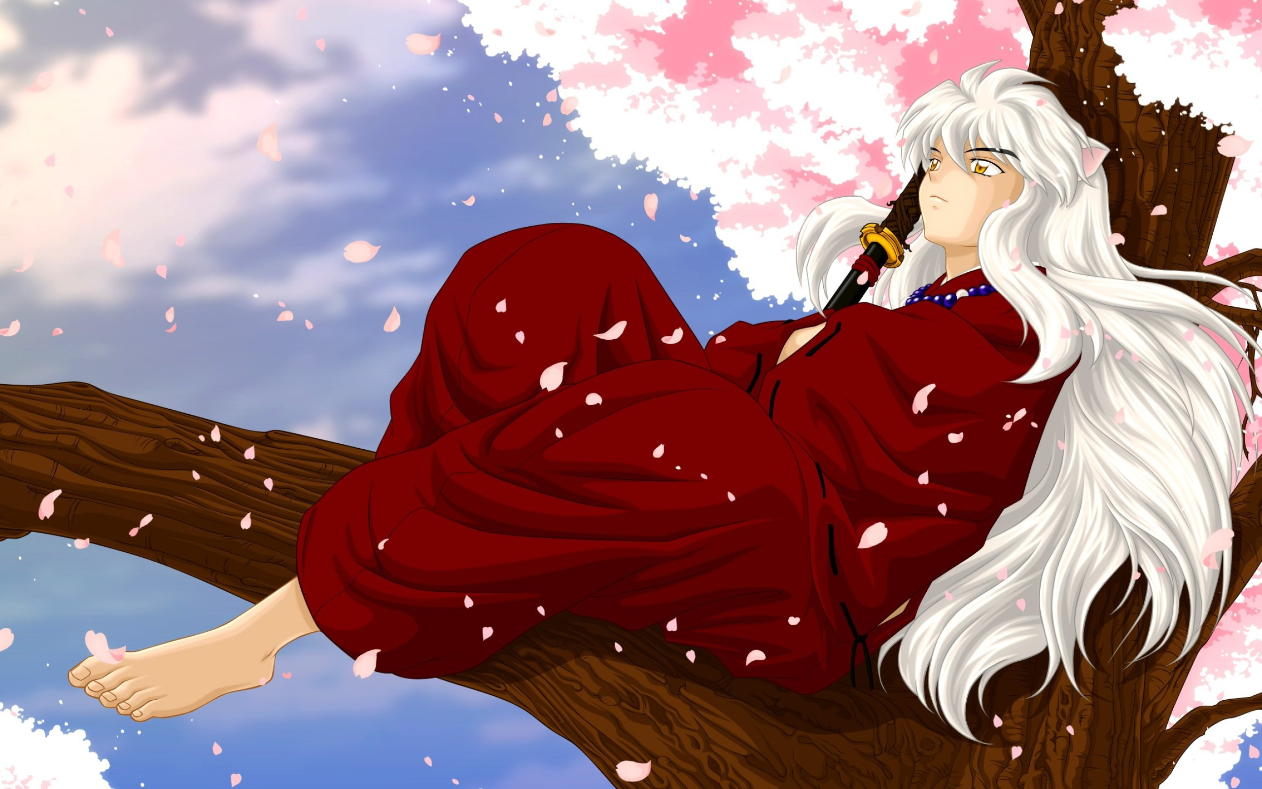 HD desktop and mobile backgrounds, InuYasha wallpapers, Stunning visuals, Artistic brilliance, 2560x1600 HD Desktop