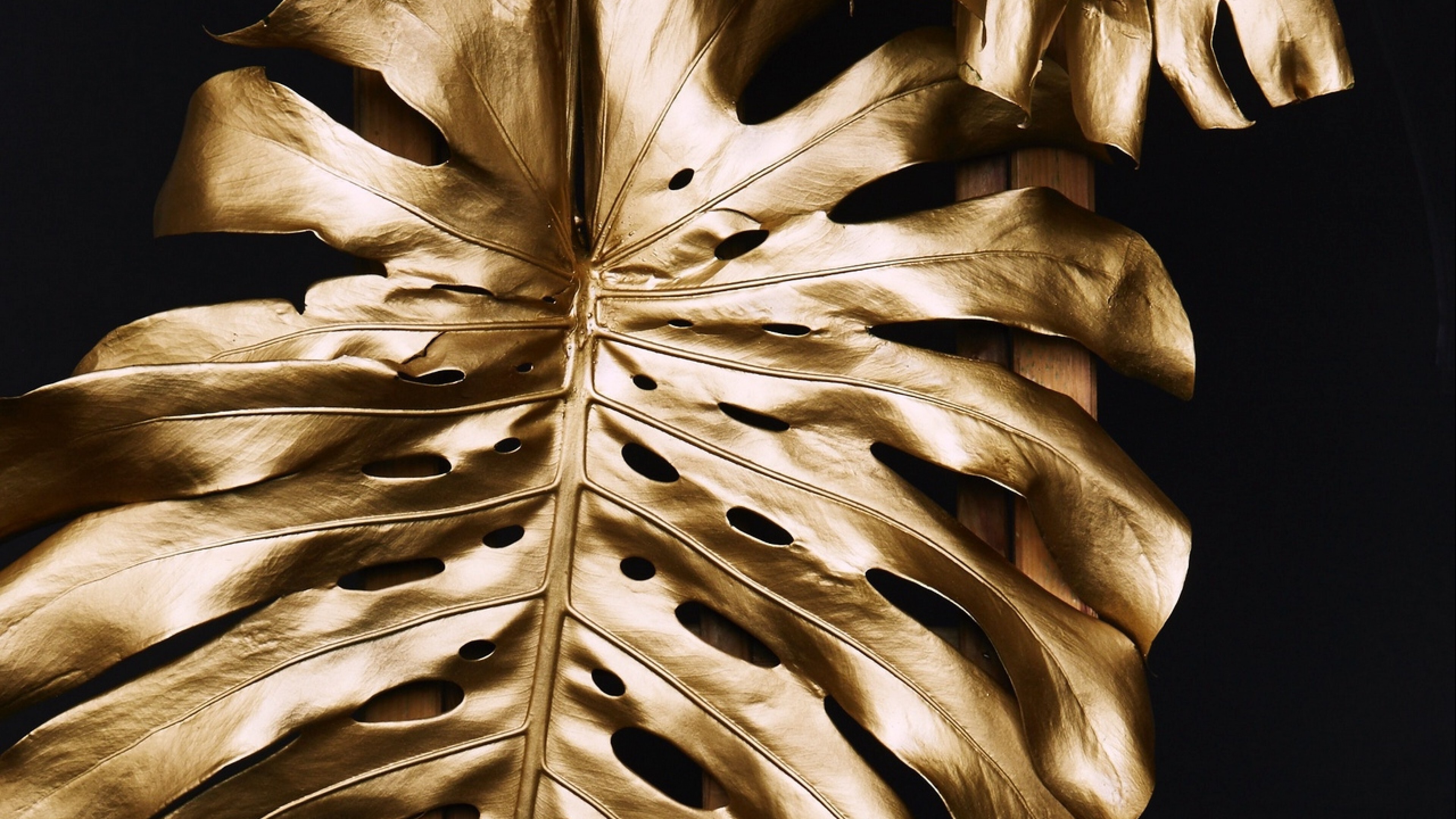 Monstera, Gold Leaf Wallpaper, 3840x2160 4K Desktop