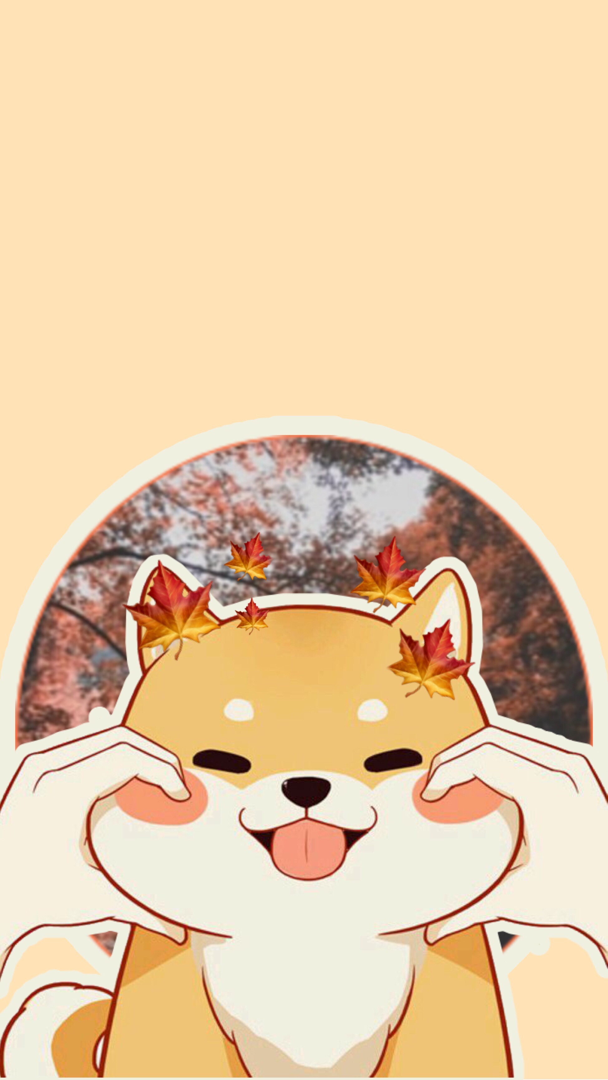 Shiba Inu, Shibainu dog wallpaper, 1950x3470 HD Phone