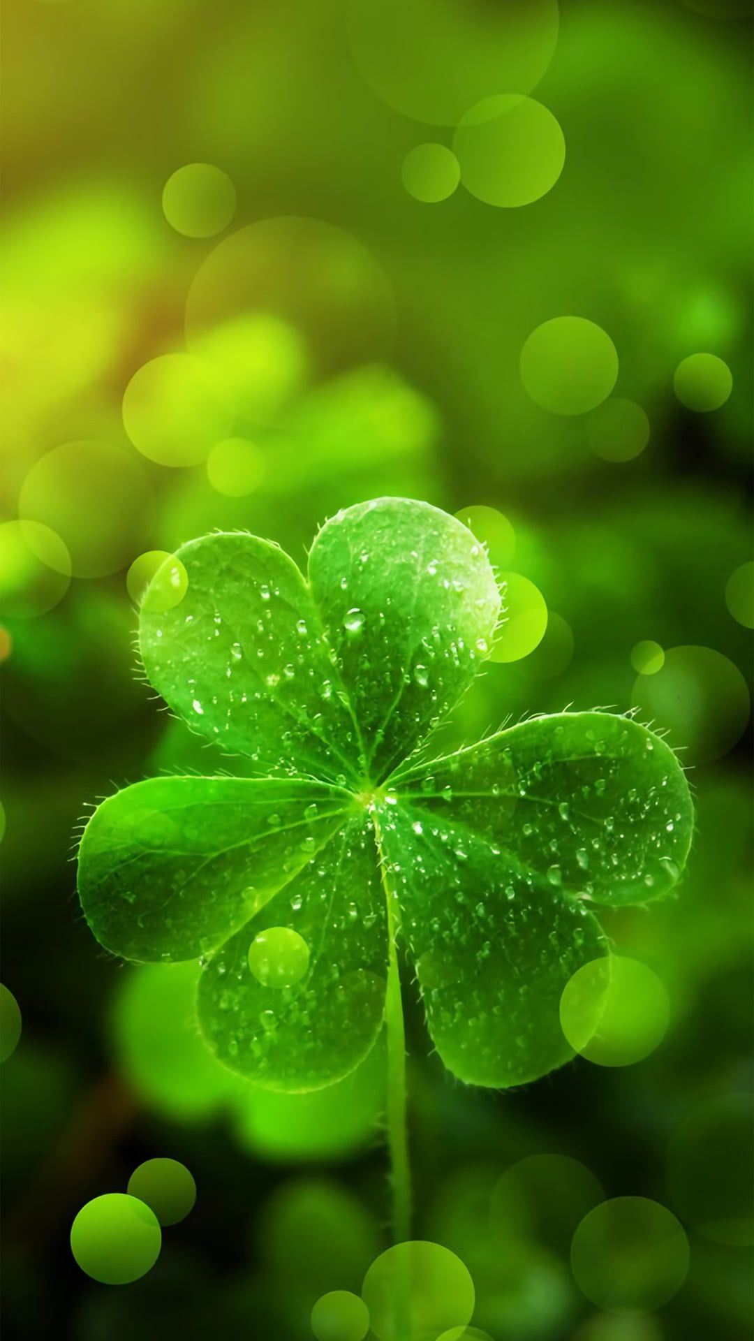 Irish Shamrock, Shamrock iPhone wallpapers, Mobile backgrounds, St. Patrick's Day, 1080x1920 Full HD Phone