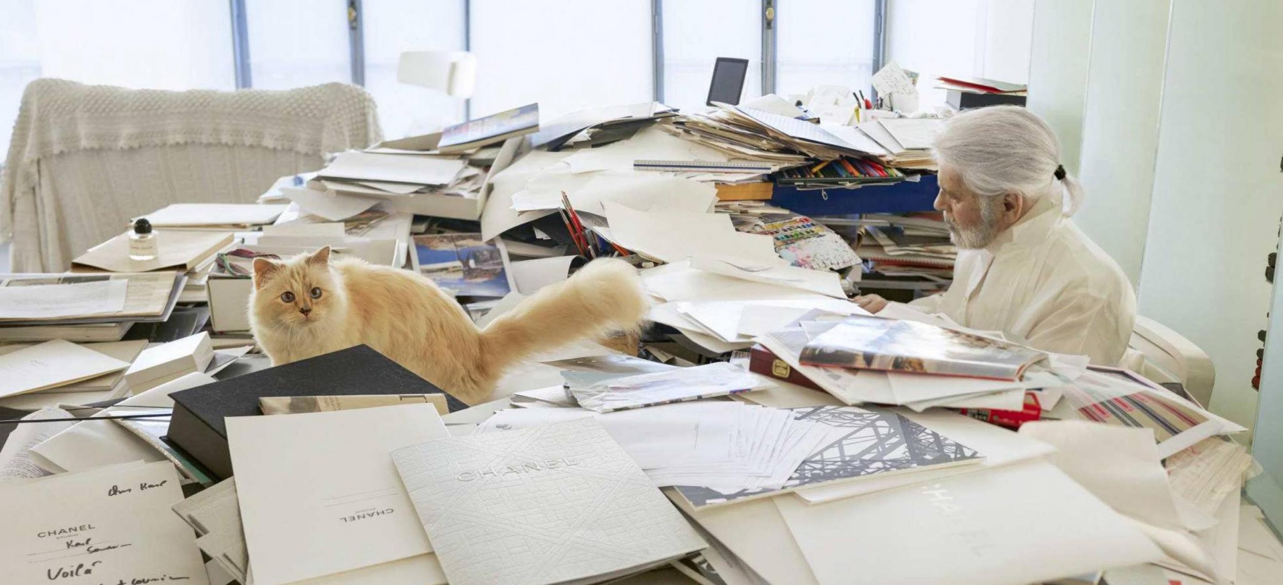 Workspace of Karl Lagerfeld, Choupette (Cat) Wallpaper, 2500x1150 Dual Screen Desktop