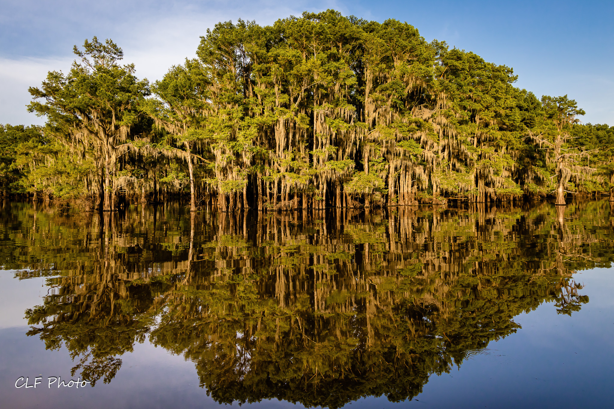 Caddo Lake, Nature photographers, Beautiful scenery, Serene environment, 2050x1370 HD Desktop